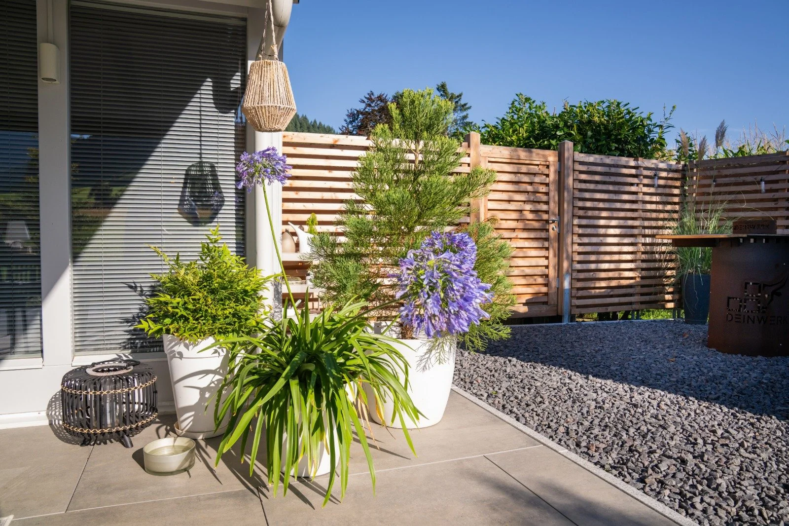 WhatsApp Image 2026-02-26 at 14.53.17.jpeg