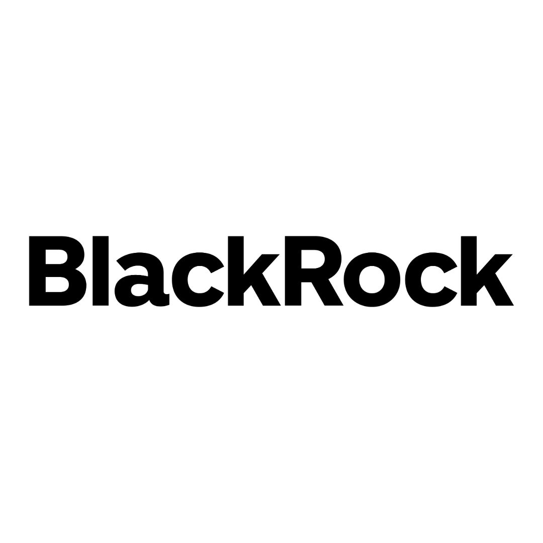 Corporate Logo for BlackRock