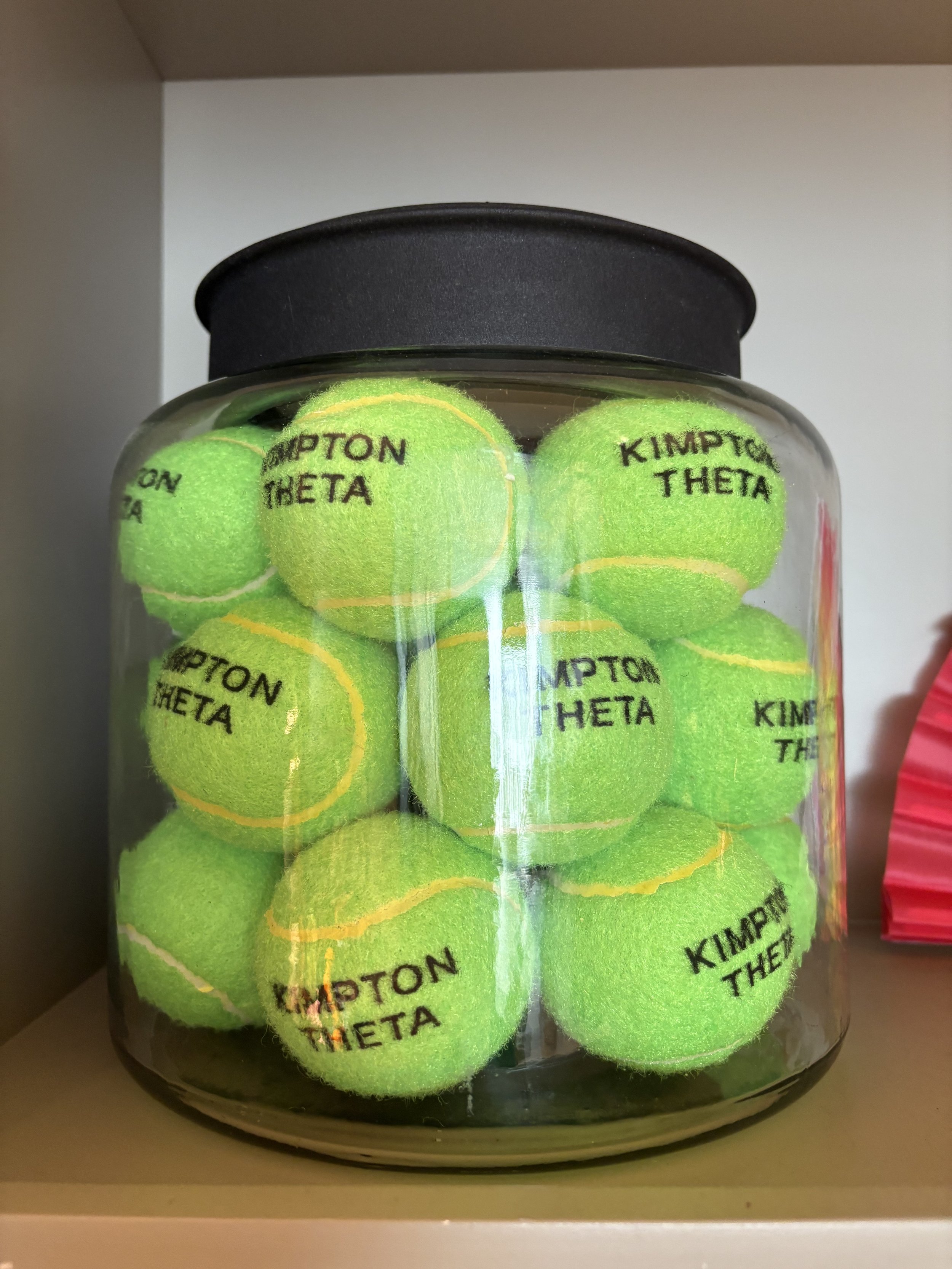 Kimpton Theta NYC: Family, Theater, and a Frenchie Who Owns the Room