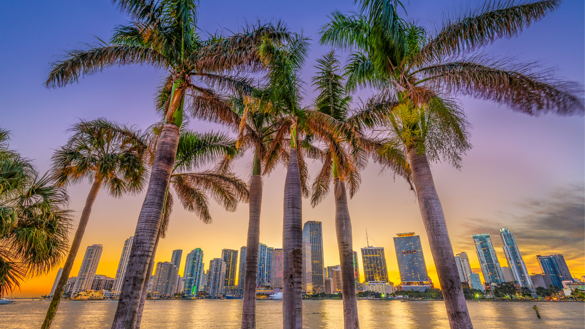 The Power of Social Connection for Mental Health in Miami, FL