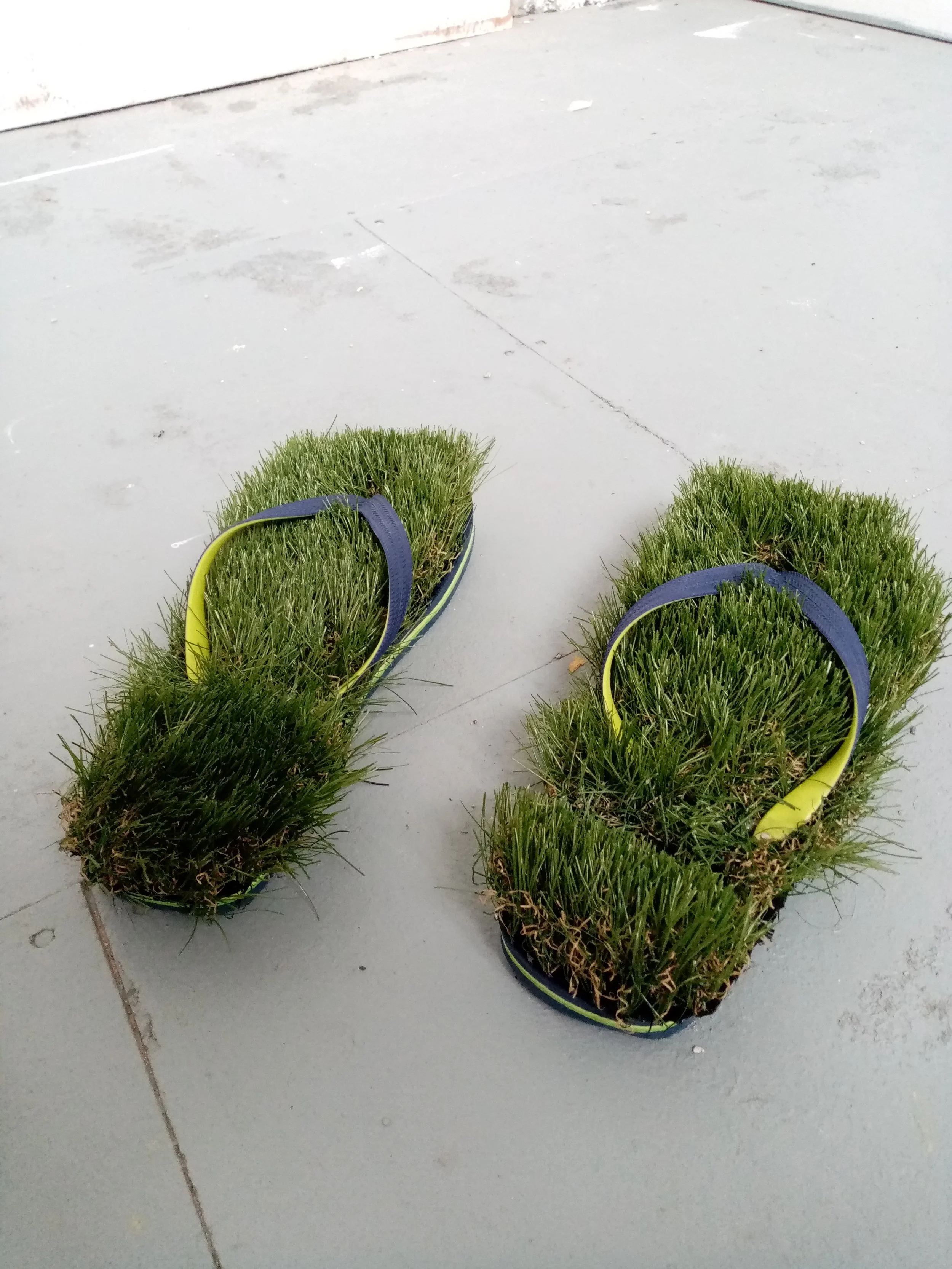 Grass shoes 2.jpg