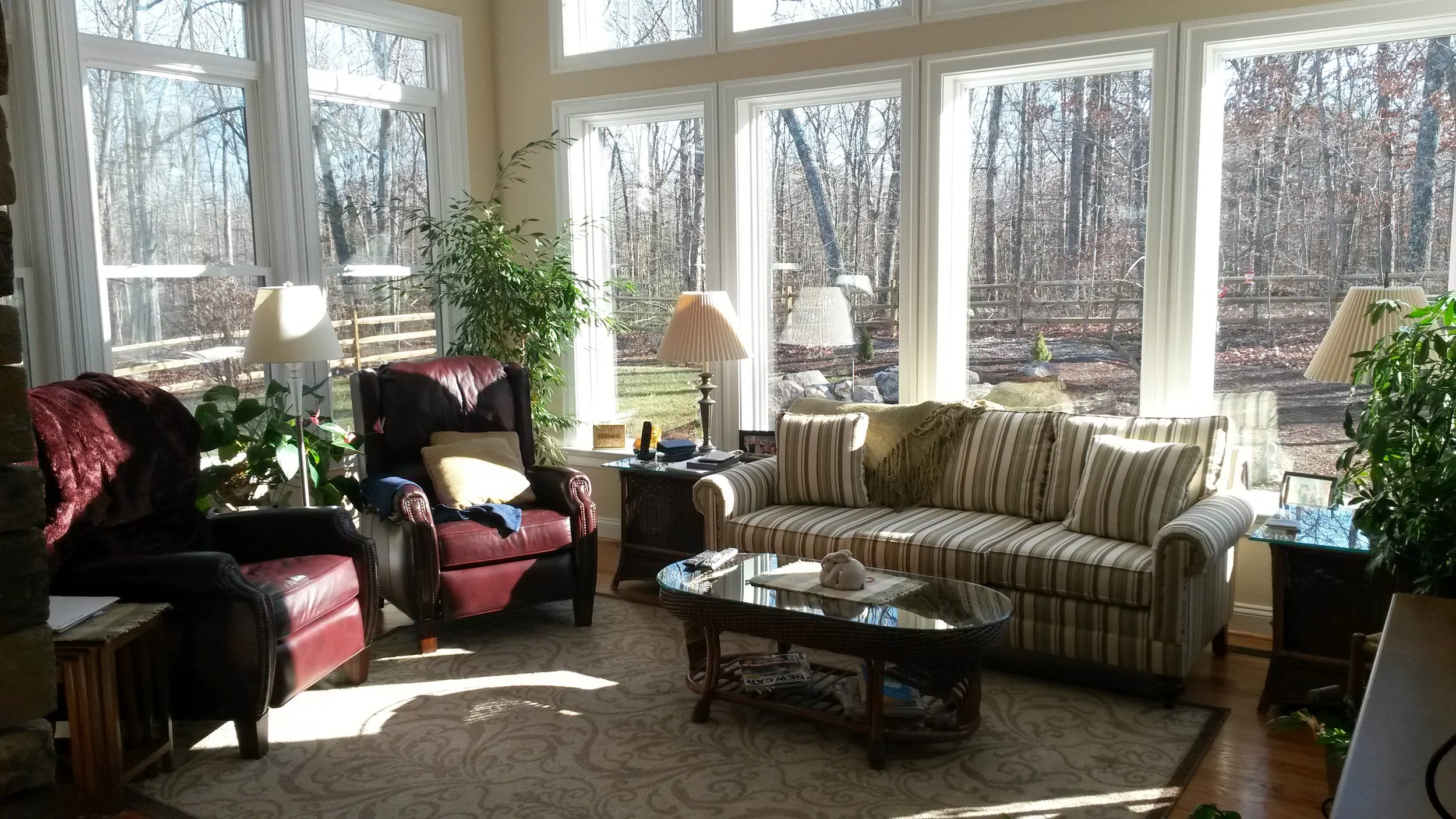 20150128_145358.jpg