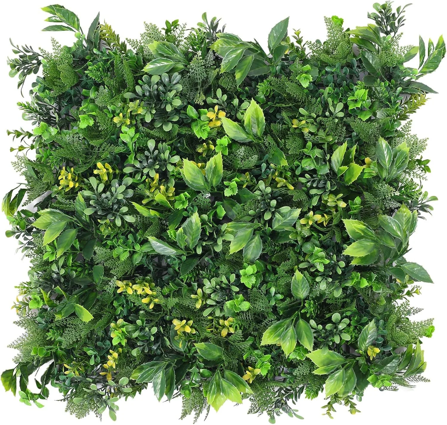 Boshen Boxwood (fits to any size panel)