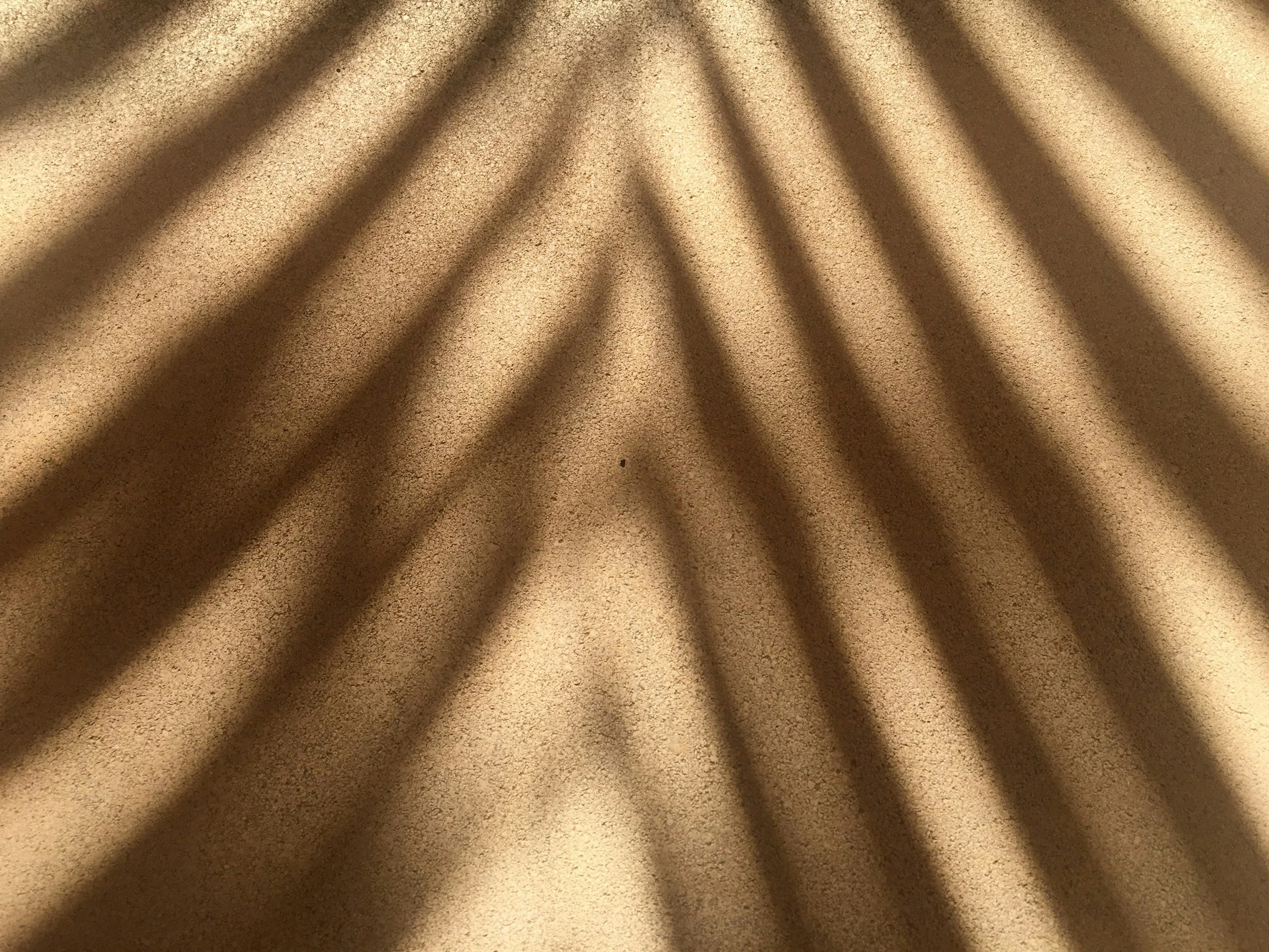 Shadows of palm leaves cast on a beige carpeted surface.