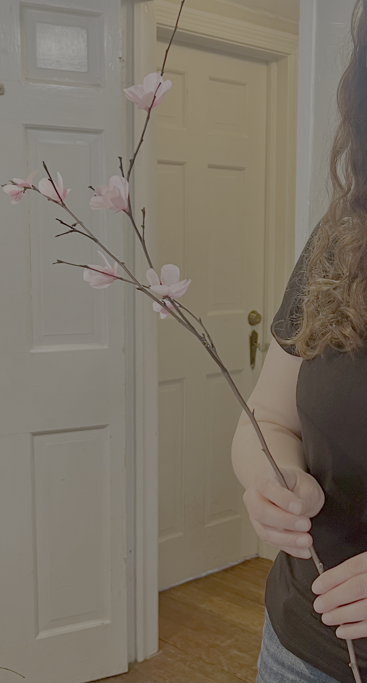 Make Your Own Cherry Blossoms Private Party