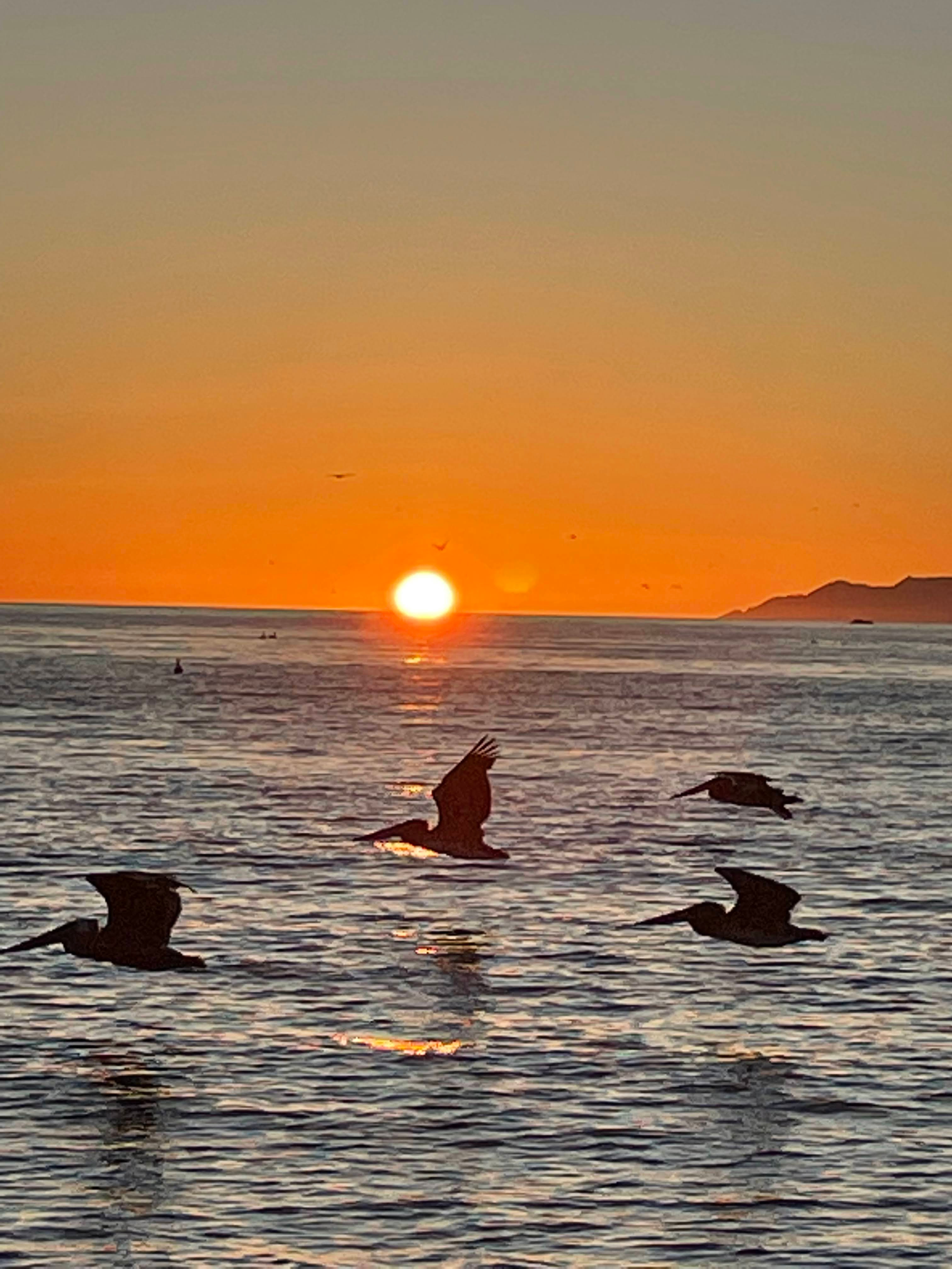 36_Untitled design.png