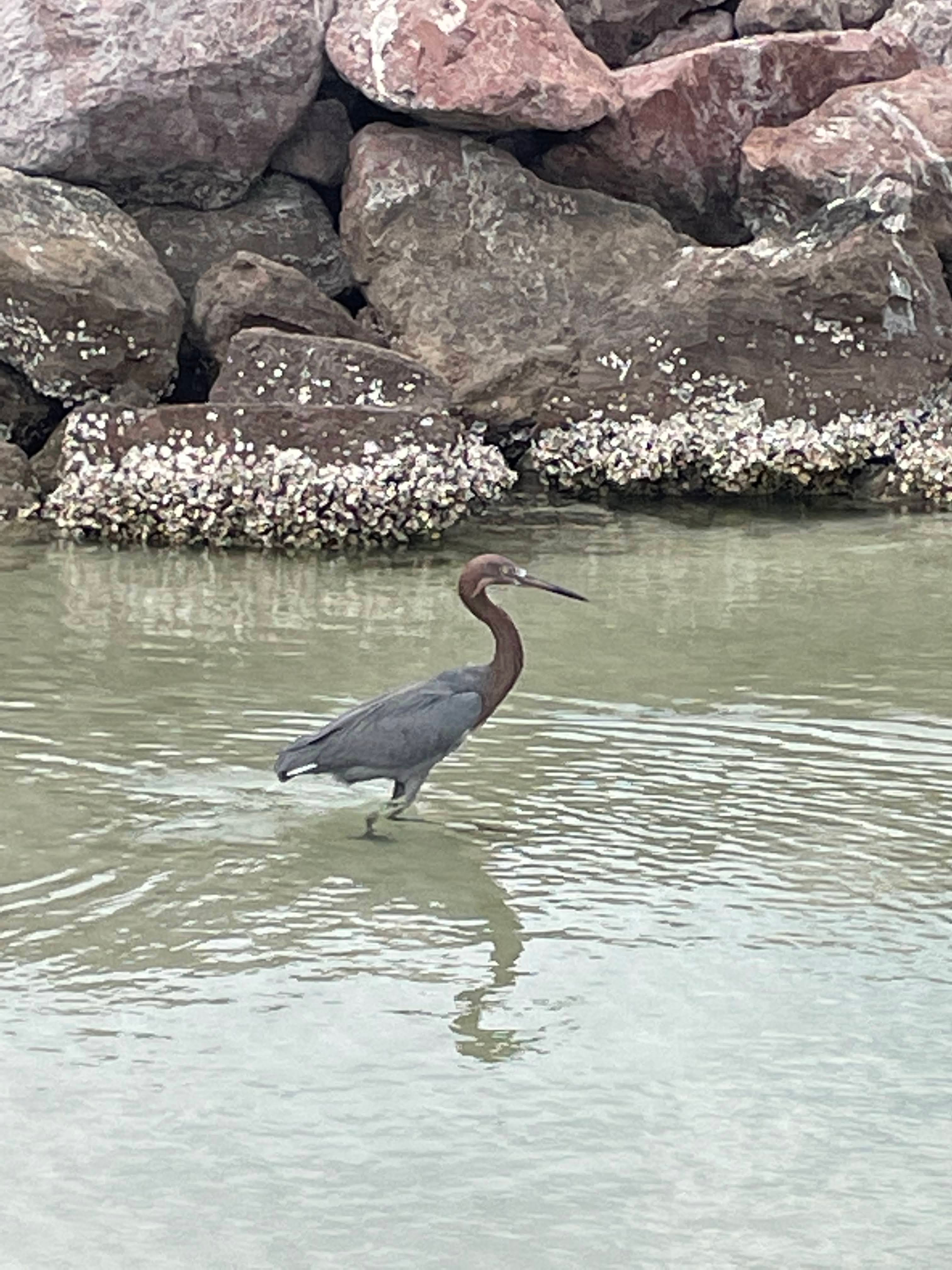 56_Untitled design.png