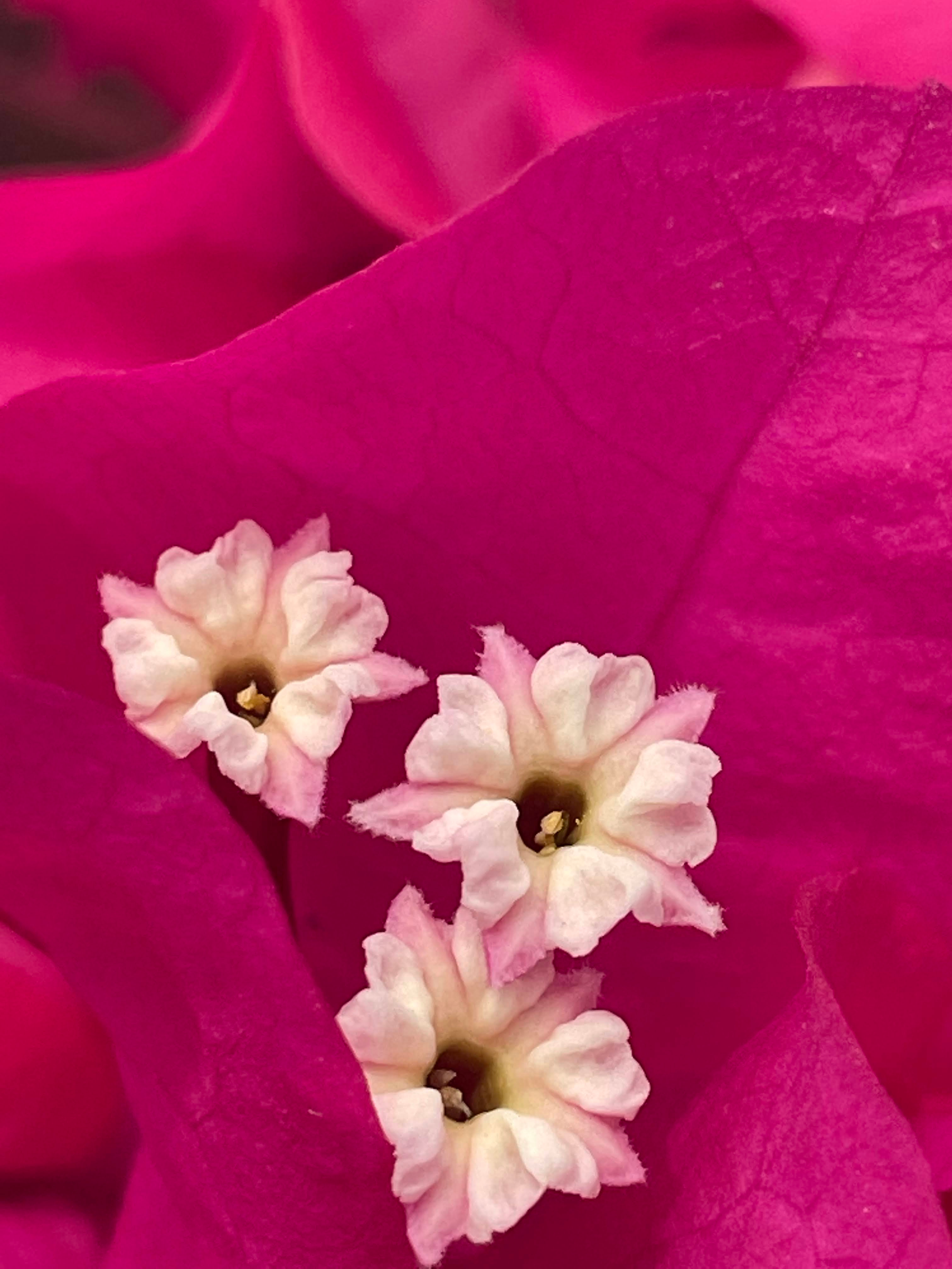 29_Untitled design.png