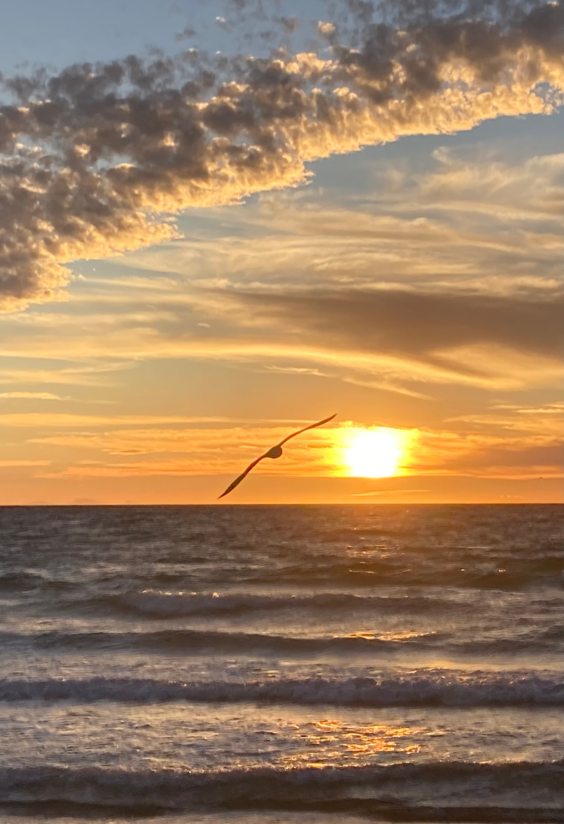 32_Untitled design.png