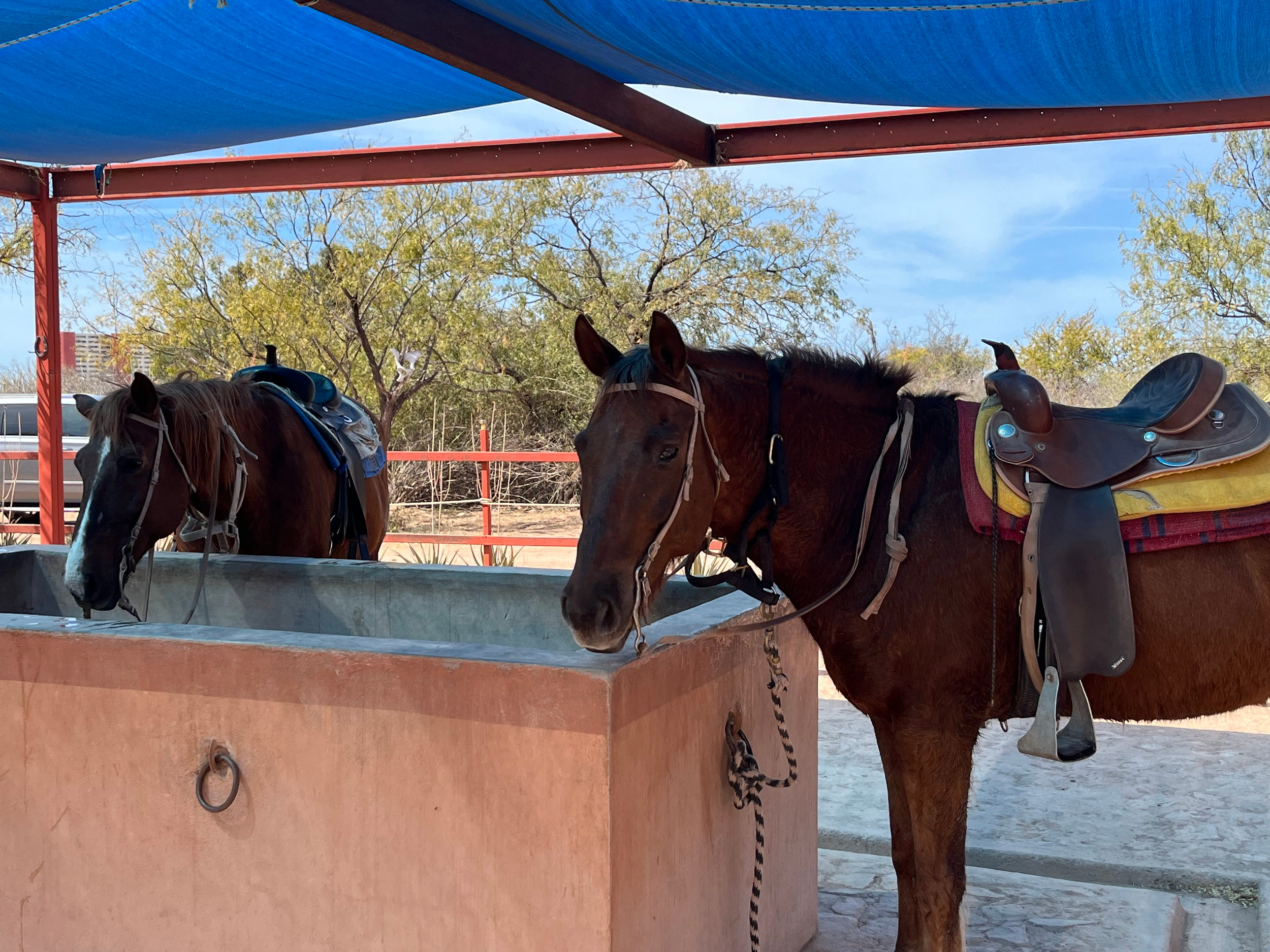 37_Untitled design.png