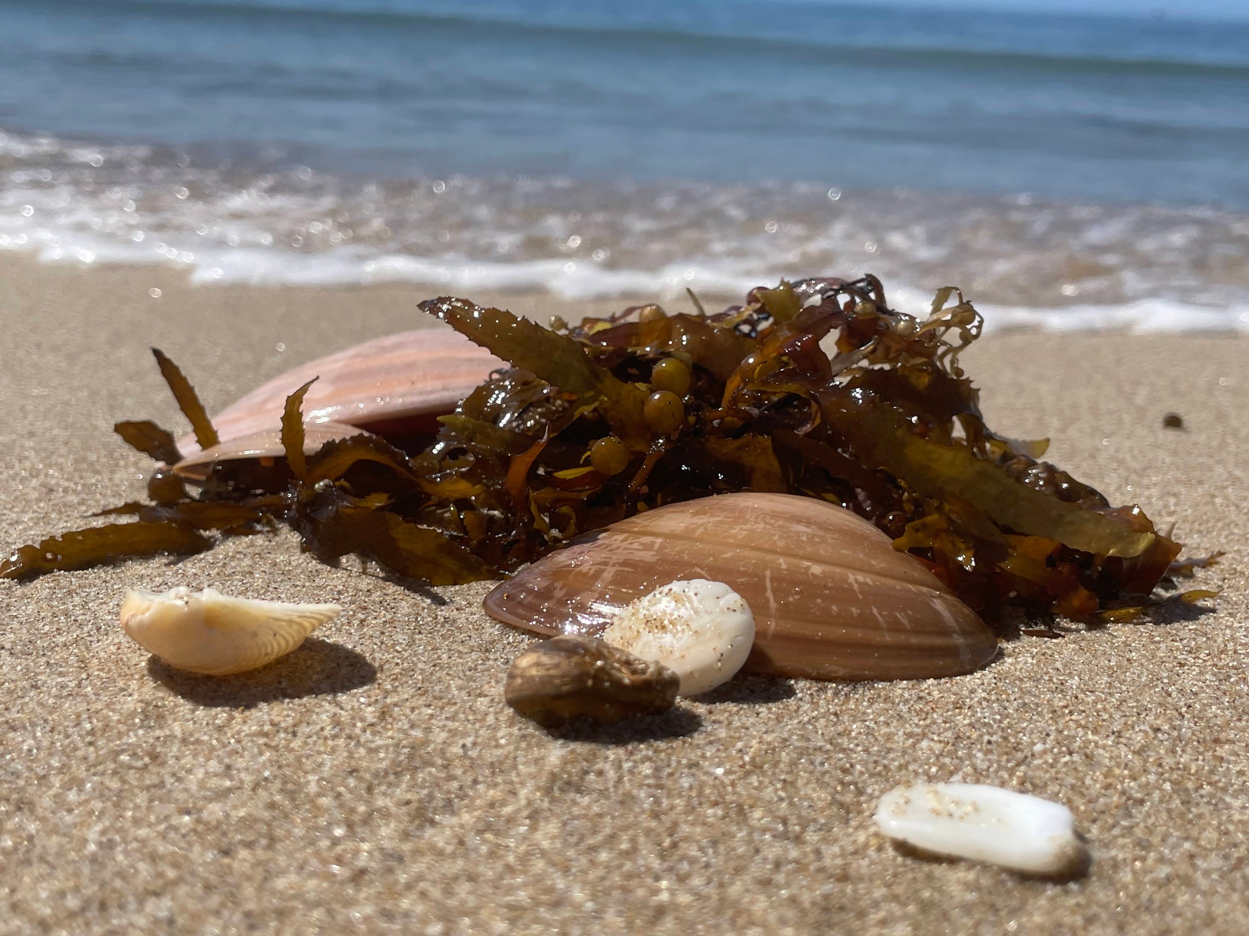 41_Untitled design.png