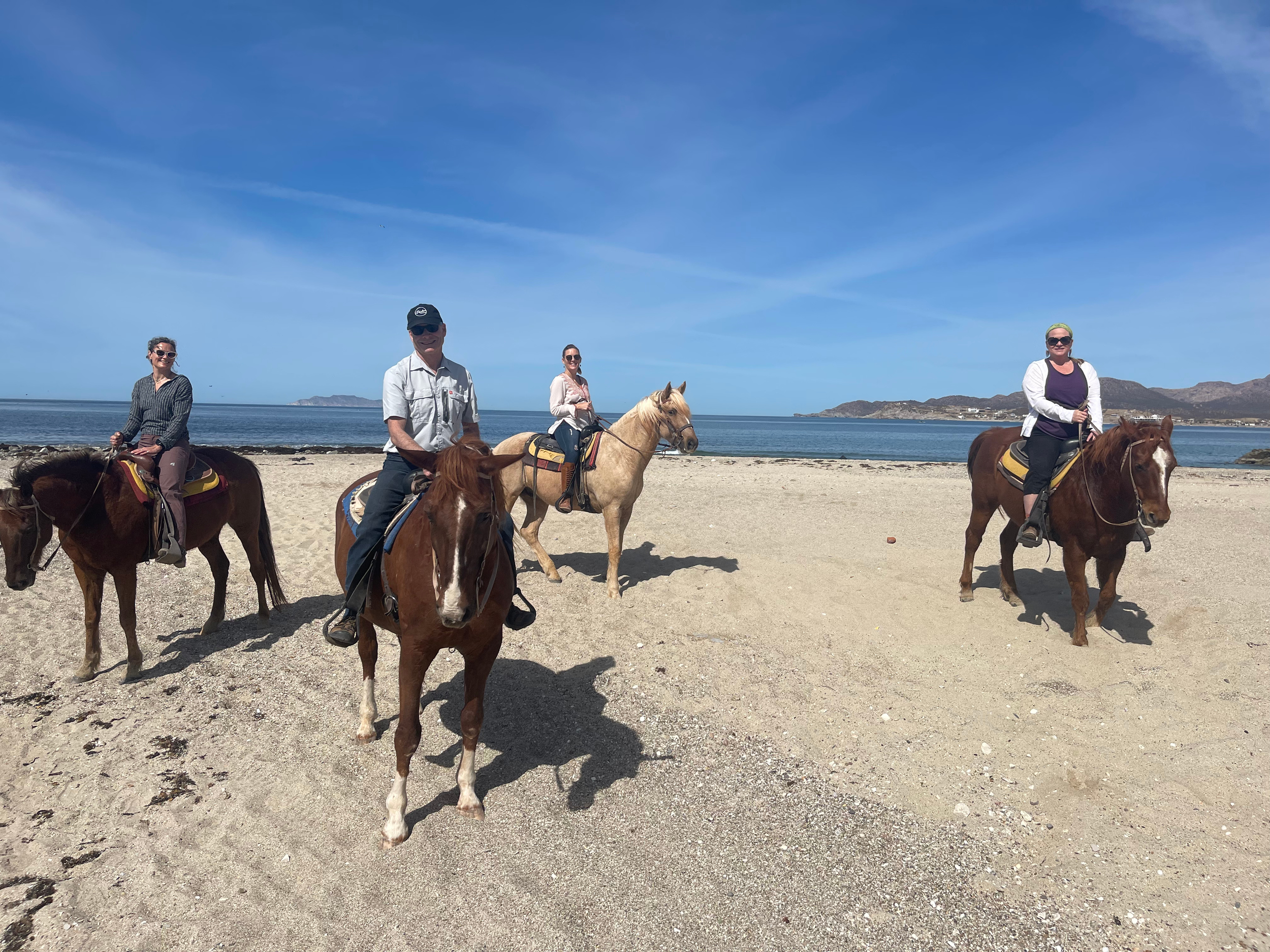 11_Untitled design.png