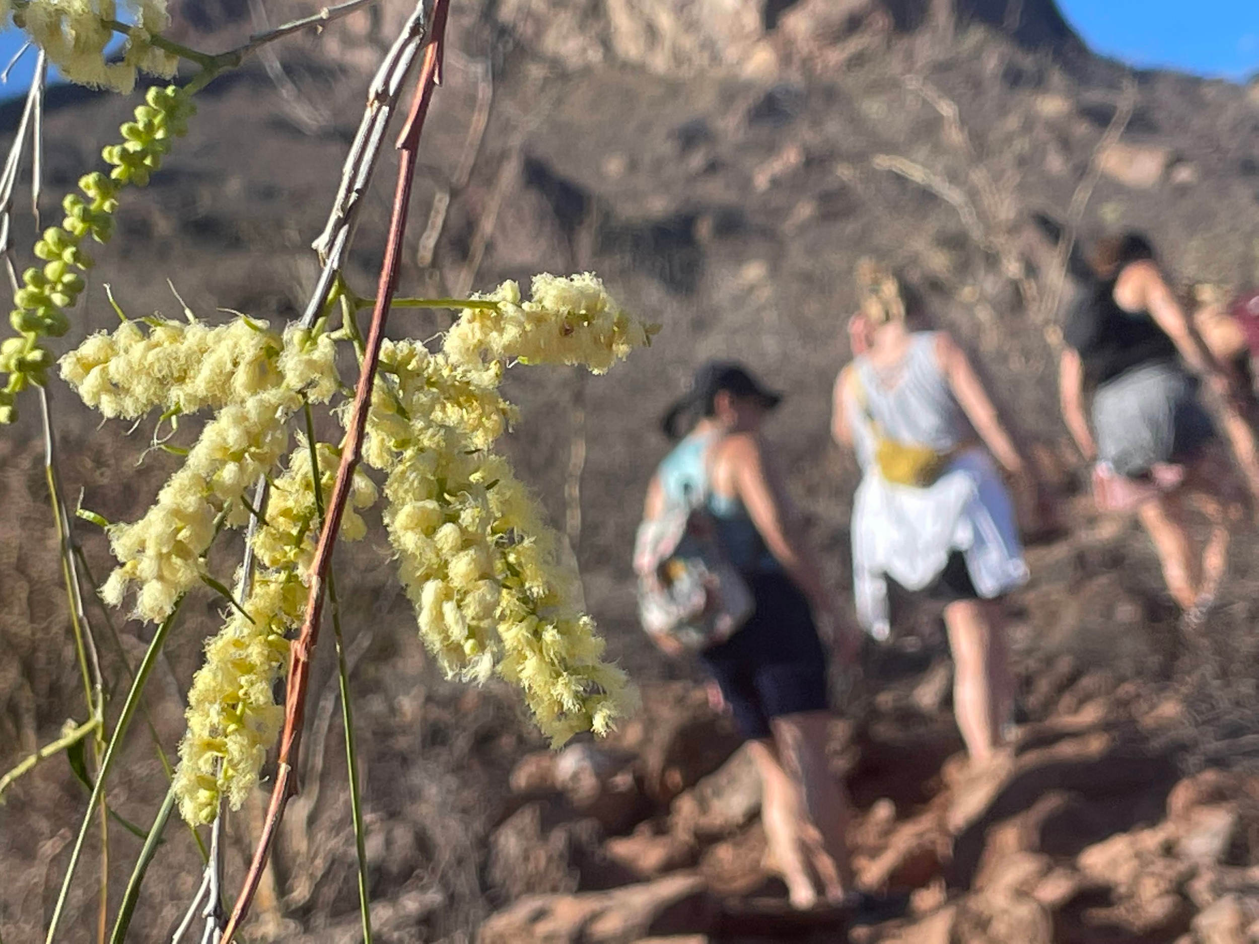 1_Untitled design.png