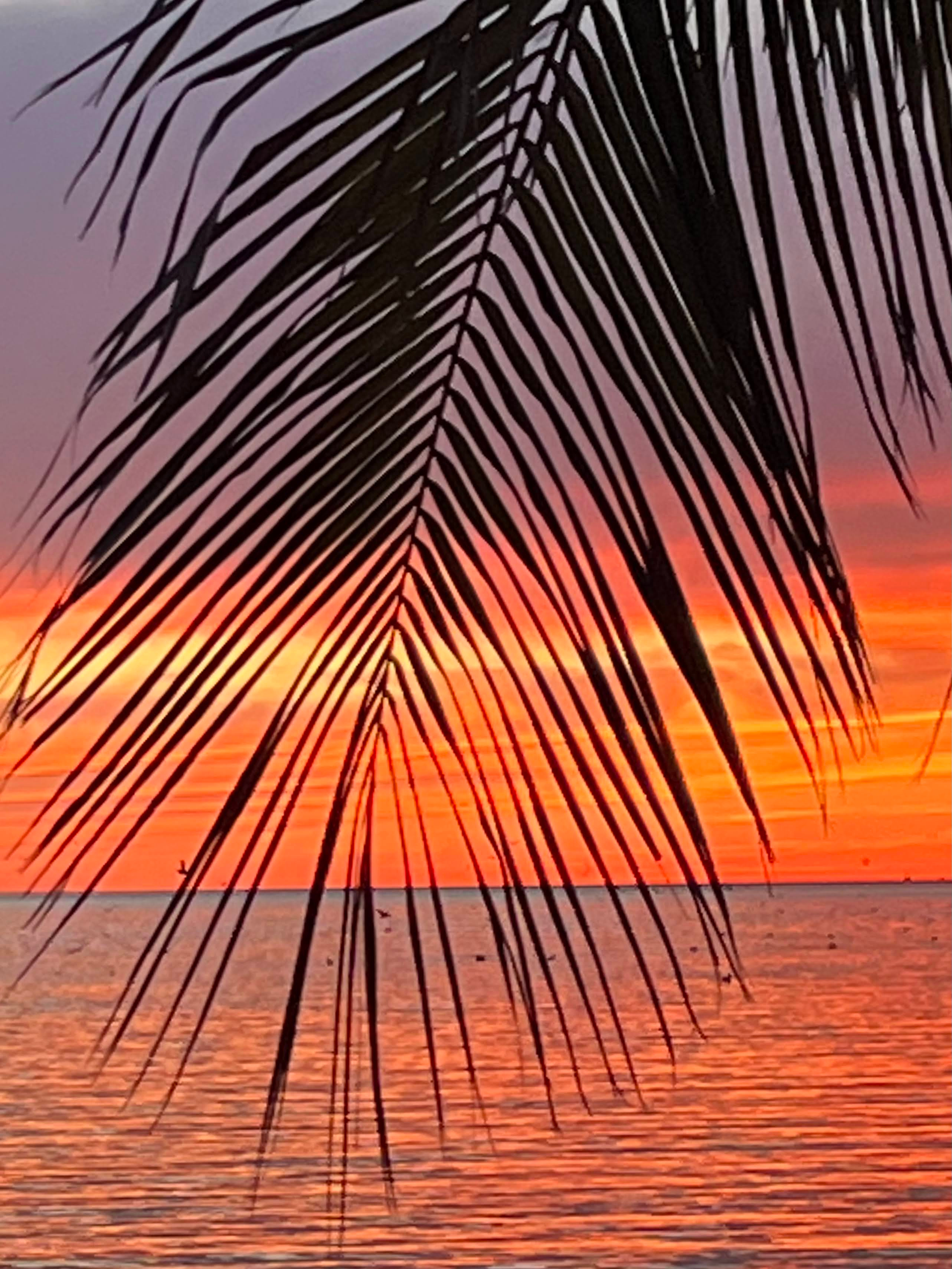 52_Untitled design.png