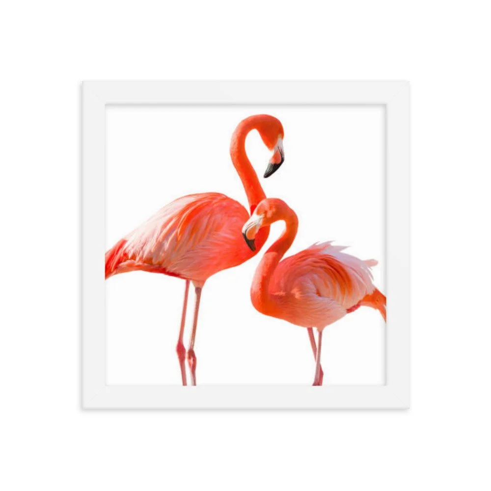 enhanced-matte-paper-framed-poster-(in)-white-10x10-transparent-669c68644778f.jpg