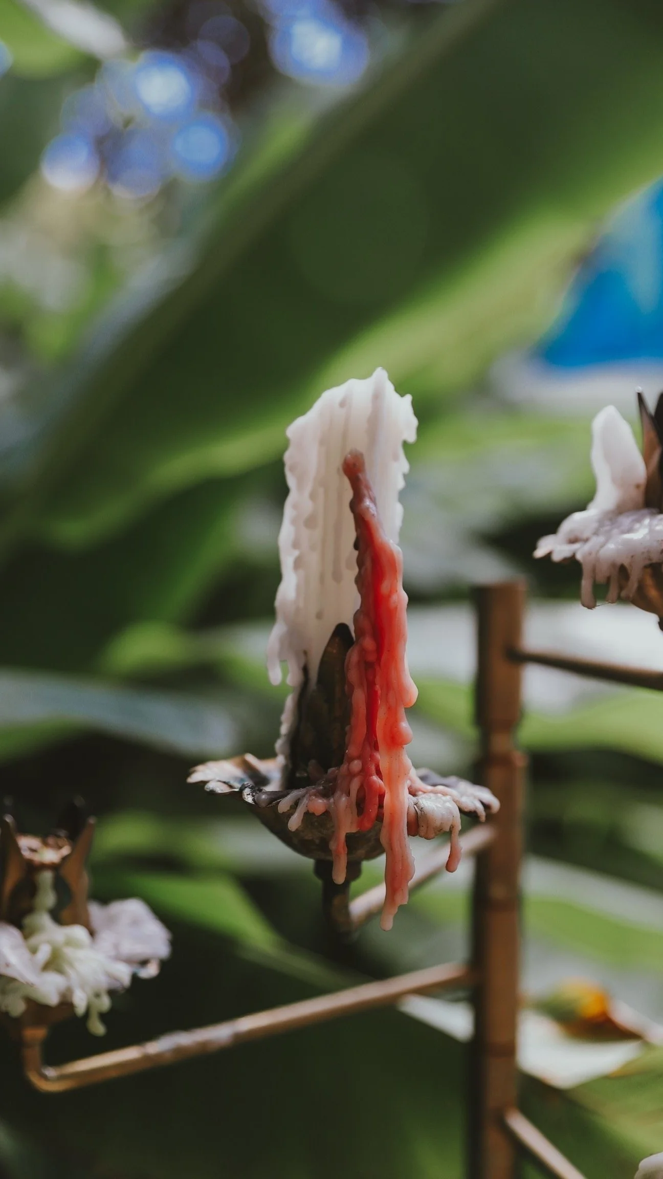 Gratitude that doesn’t ignore the fire.