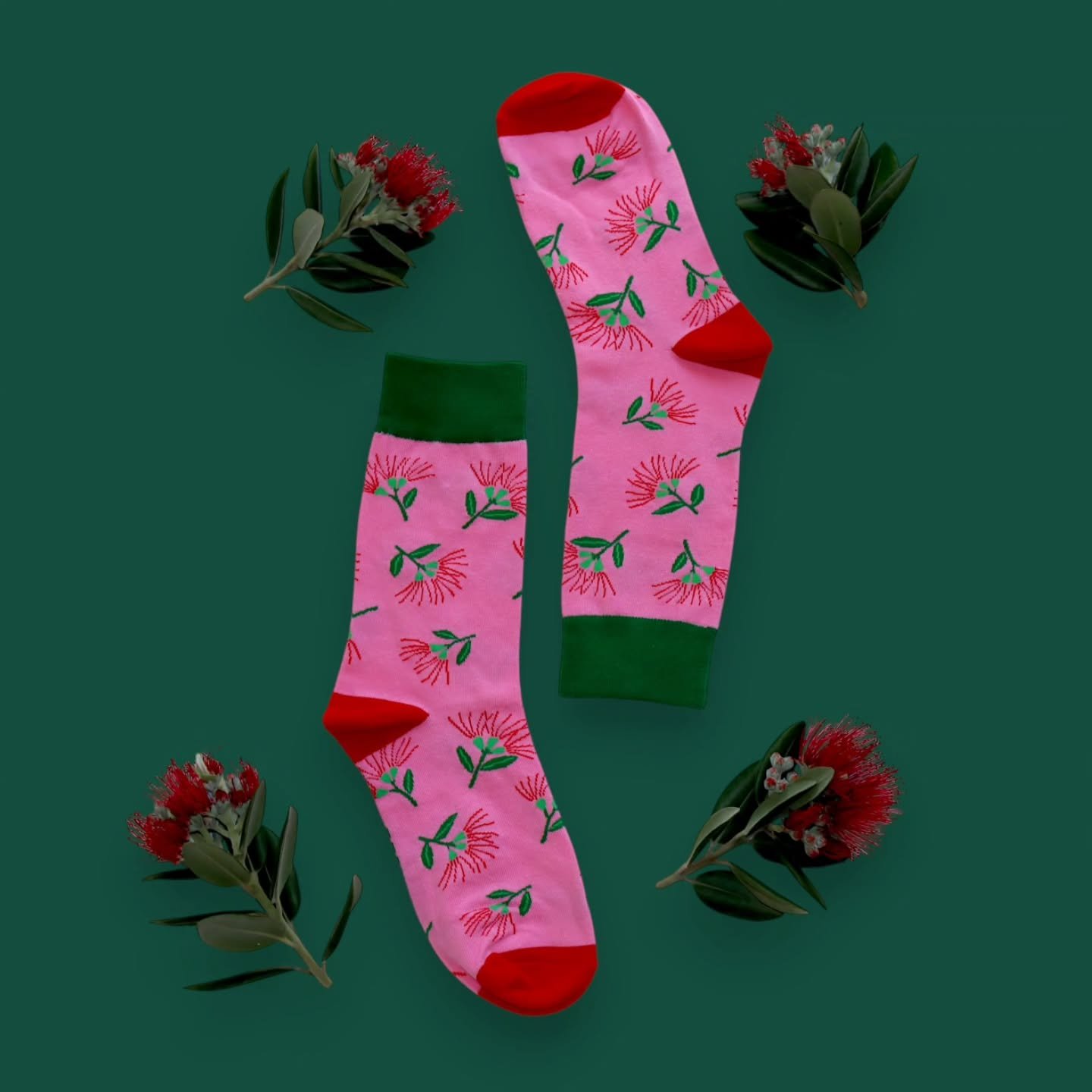 It's Pōhutukawa time! 🌺
Summer in Aotearoa means bold red blooms everywhere ☀️ and our Pōhutukawa socks are here to match the mood.

Are you team Cotton or team Merino? 🤔

#pohutukawa #nzsummer #nzdesign #christchurchbrand #nzsmallbusiness #designe