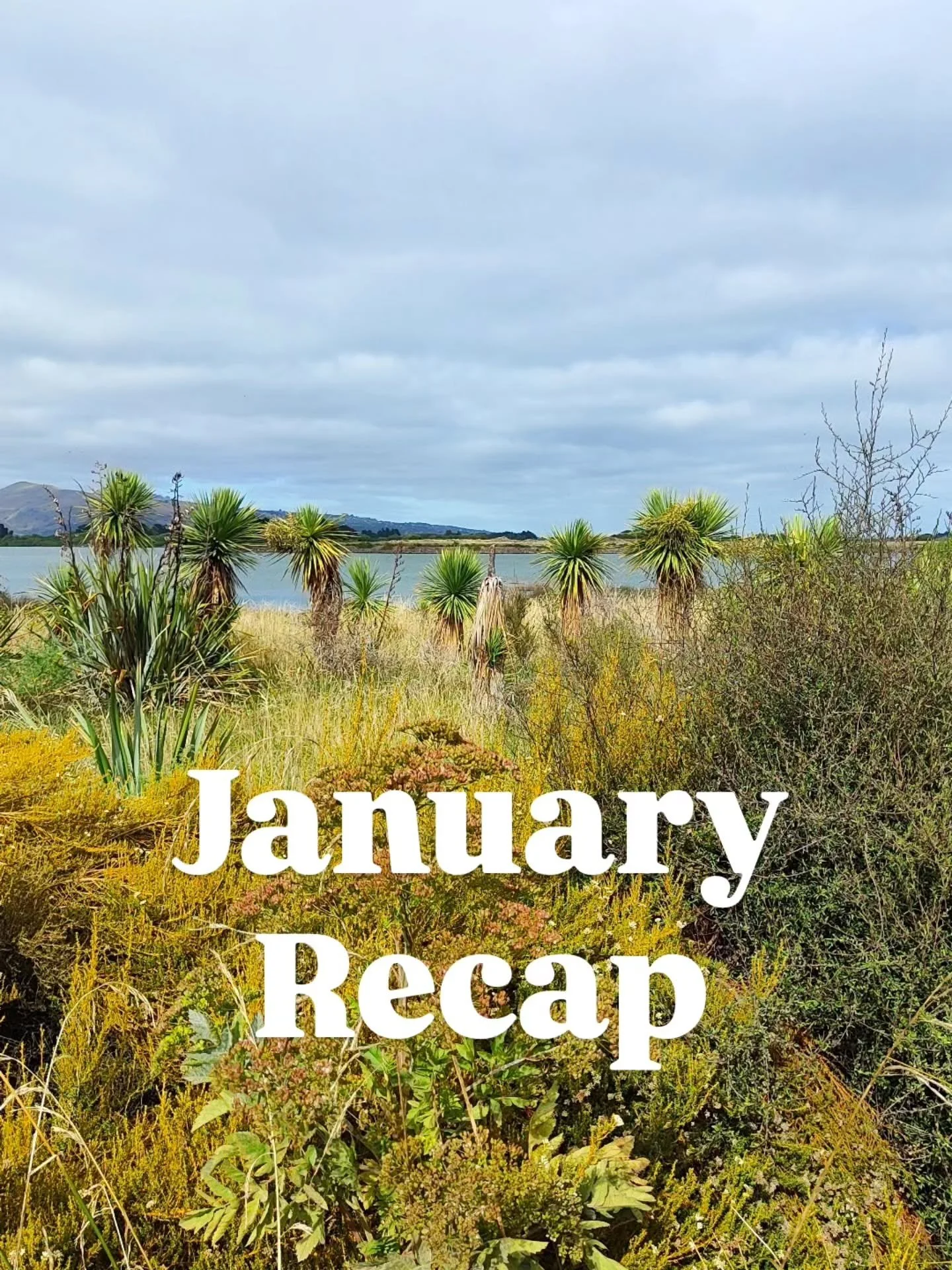 I've decided to do monthly recaps all year so here goes the first one - January is officially over (what?! 😱). Let's see how long I keep this up...hopefully beyond March. 😁😅

#januaryrecap #monthlyrecap #zooziesmonthly recaps2026