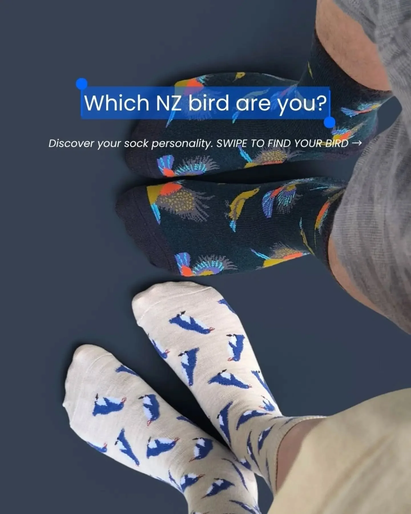 Curious to know, which one are you? 🤭 Let us know in the comments, please. 👇

#birdlovers #nzbird #nzbirdoftheyear #socks #sockperson