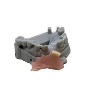 Lucitone Digital Print Single Tooth Flipper with Model