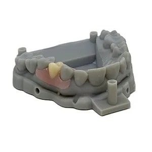 Flexible One Tooth Nesbit to Finish With Model