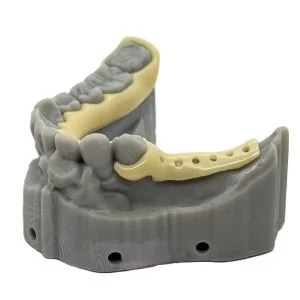 Zirlux Acetal Partial Frame with Model