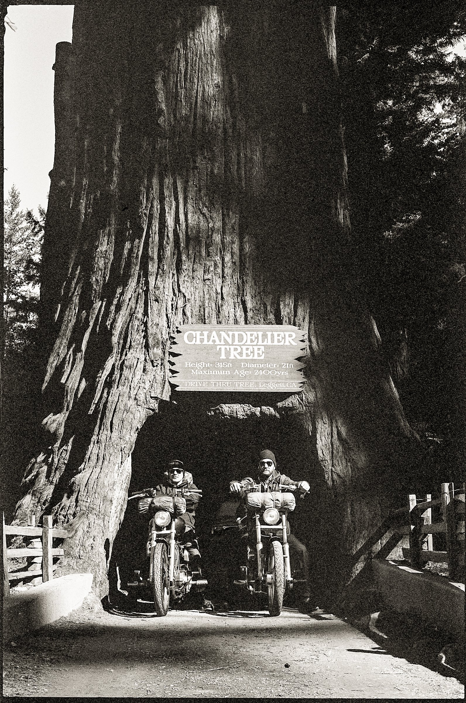 santa_cruz-1.jpg