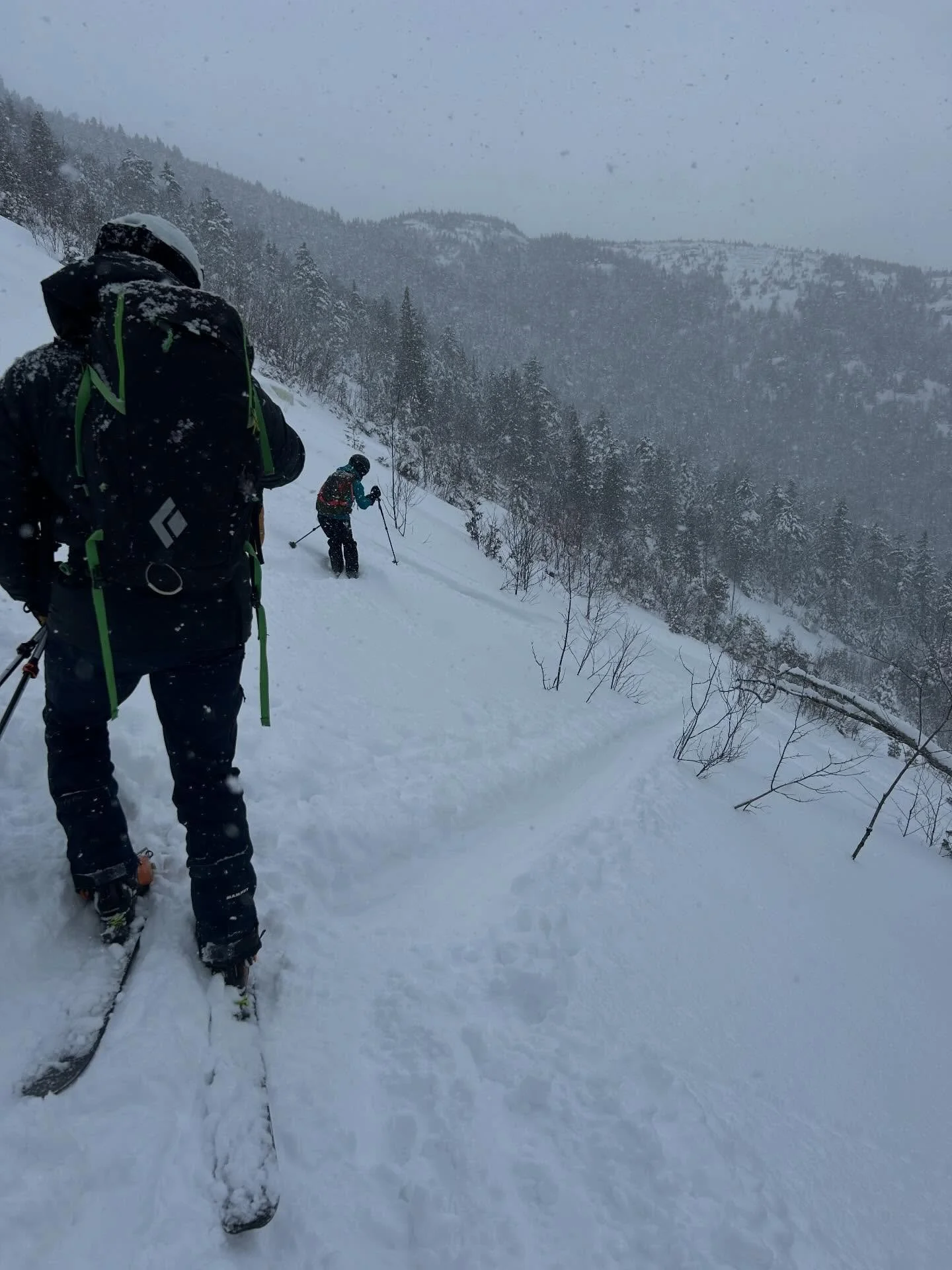 Incredible ski day! ⛷️ I had the pleasure of joining @jmhaas73 and team for very productive ski guide training on the Angel Slides, and then @highpeaksskiup for a true gem of a Nordic ski back on the home turf. The snow was so good!!