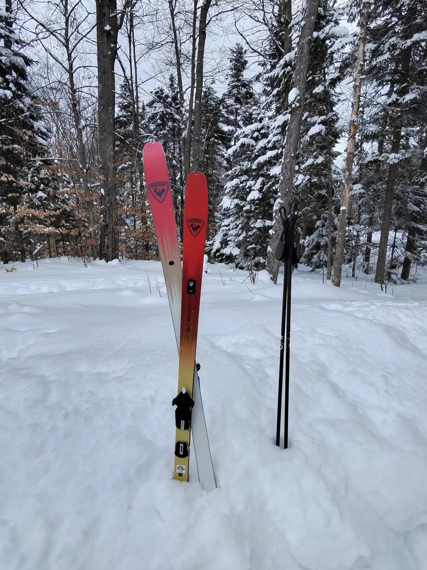 Did nearly 30 miles of skiing on the Jackrabbit Ski Trail over the last two days in preparation for a guided trip in which a client wants to ski the whole thing. So many awesome sections on this trail that stretches from Paul Smiths all the way to Ke