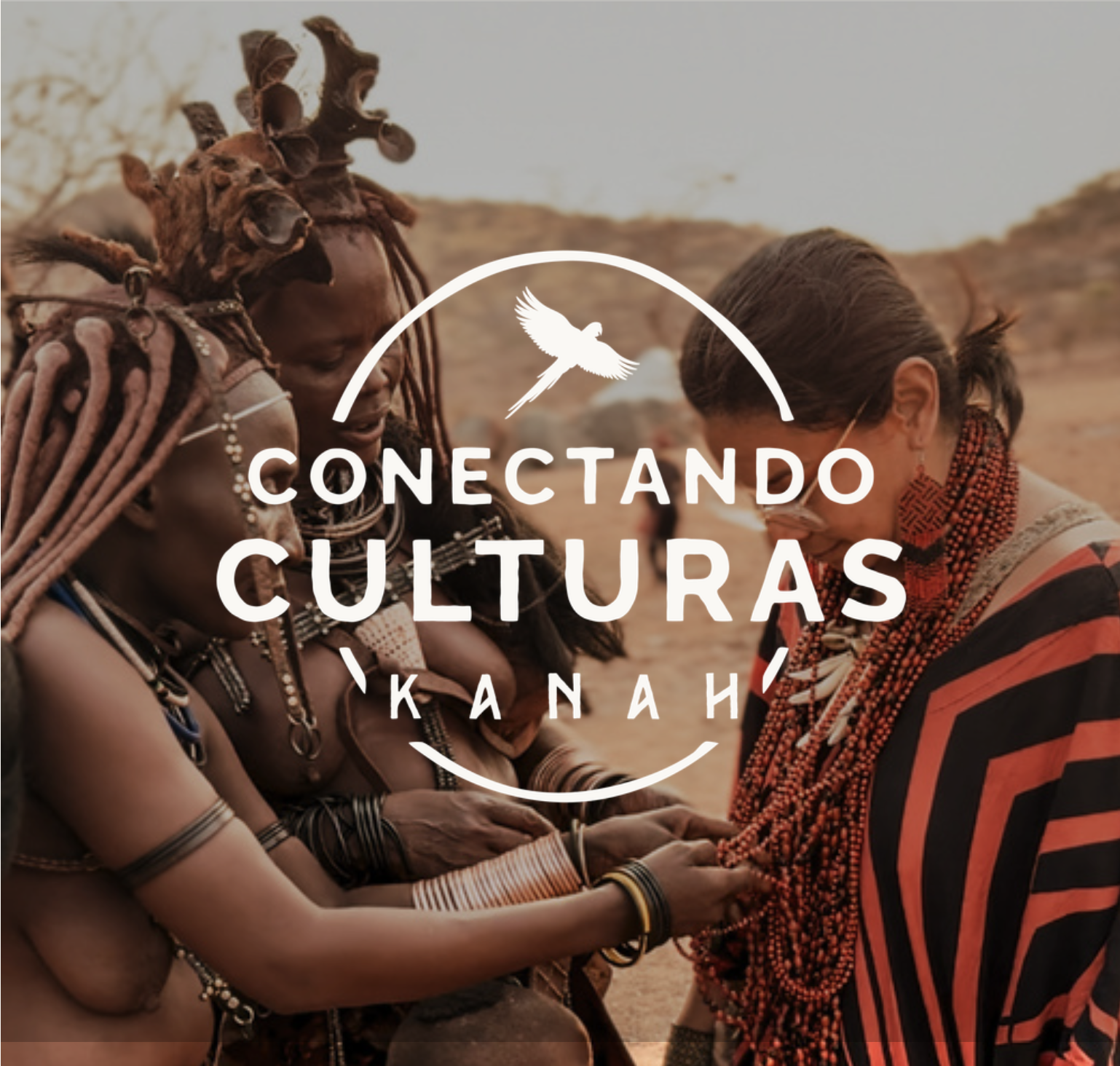 Consultoria Intercultural Alianças Estratégicas