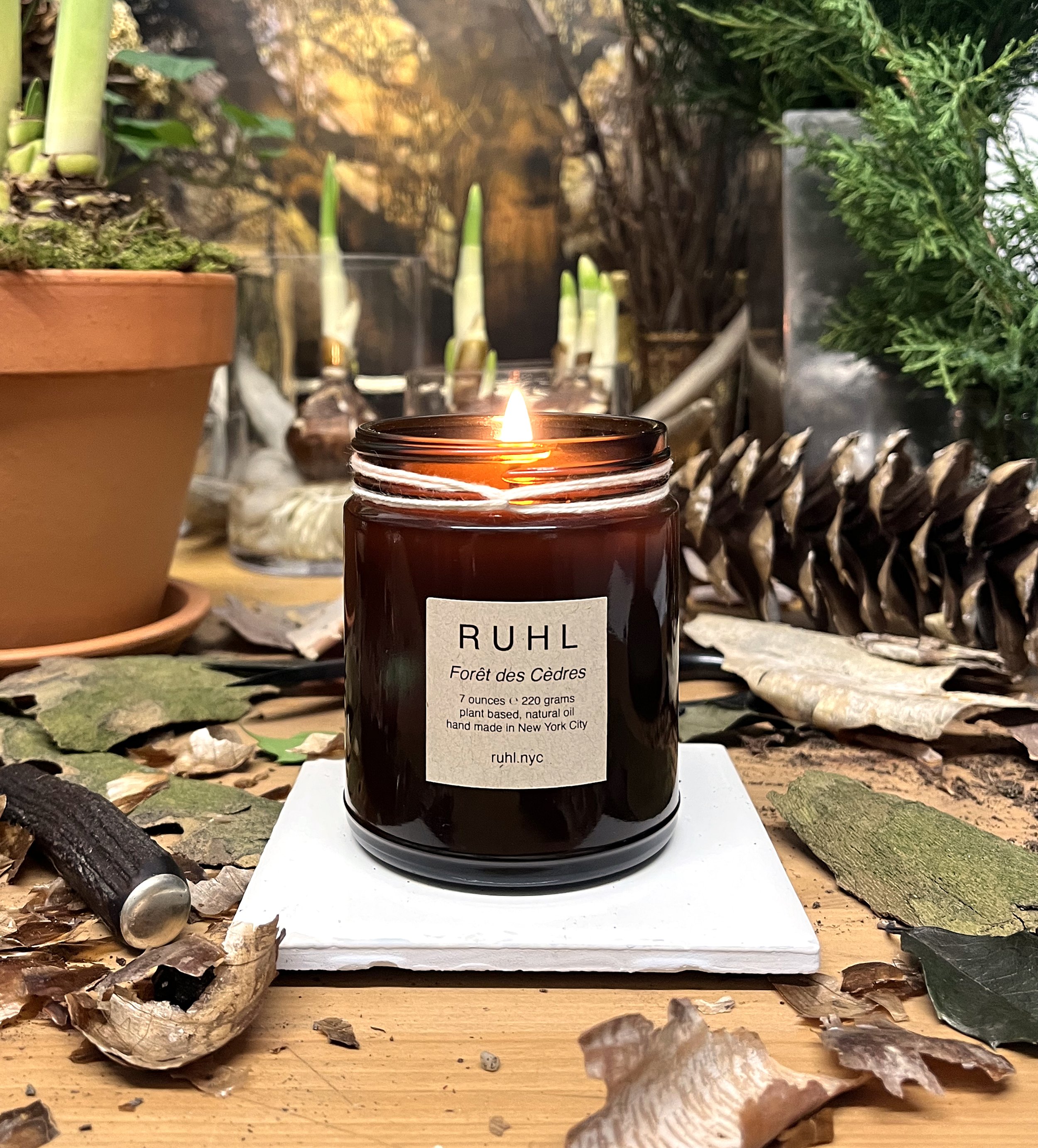 ForetdesDedres_Candle_07Dec25_v1.jpg