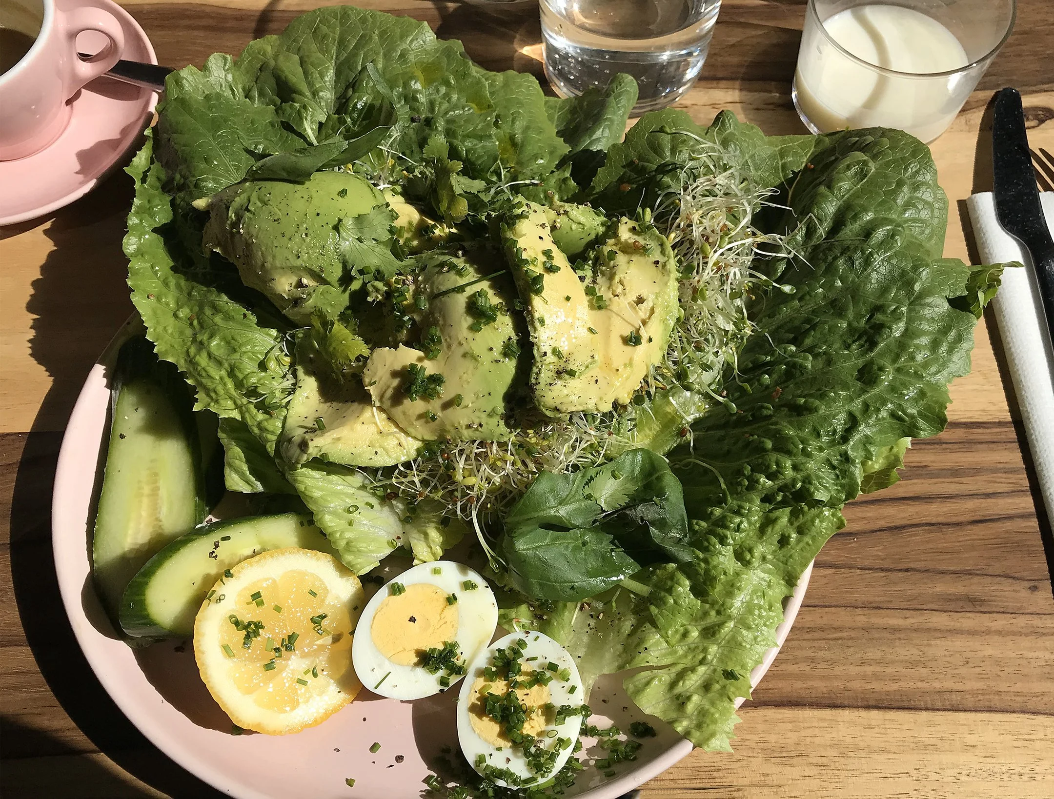 Carthage Must Be Destroyed