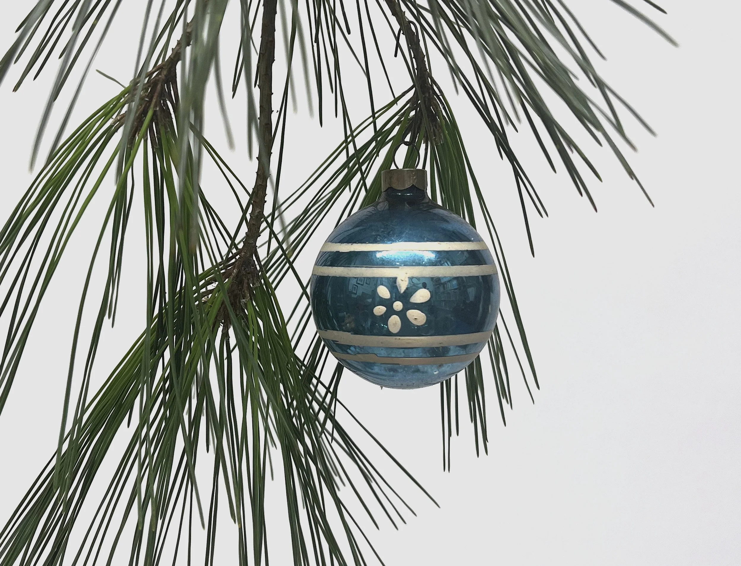 005.009_v1.jpg