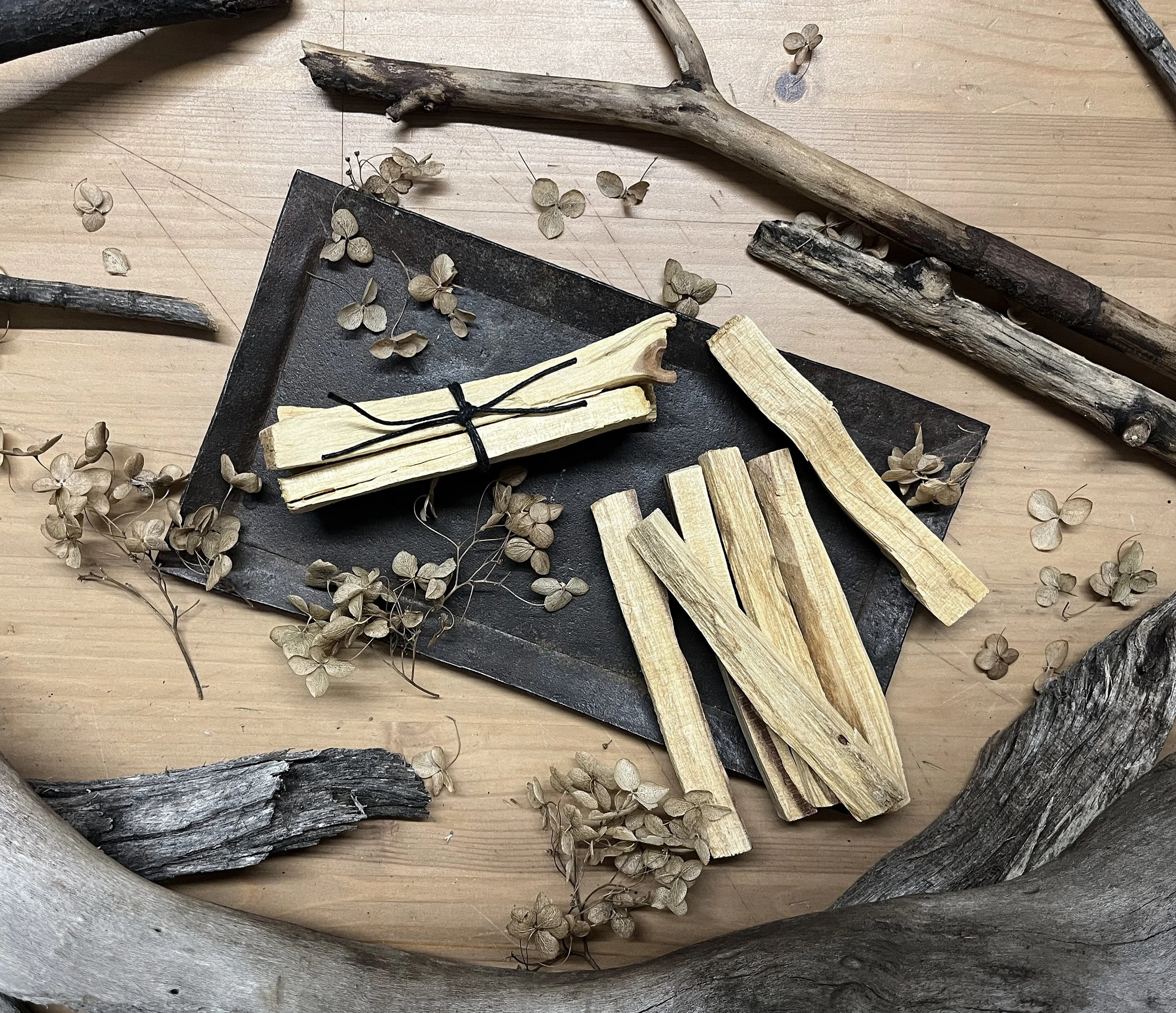 Palo Santo - Ten Sticks