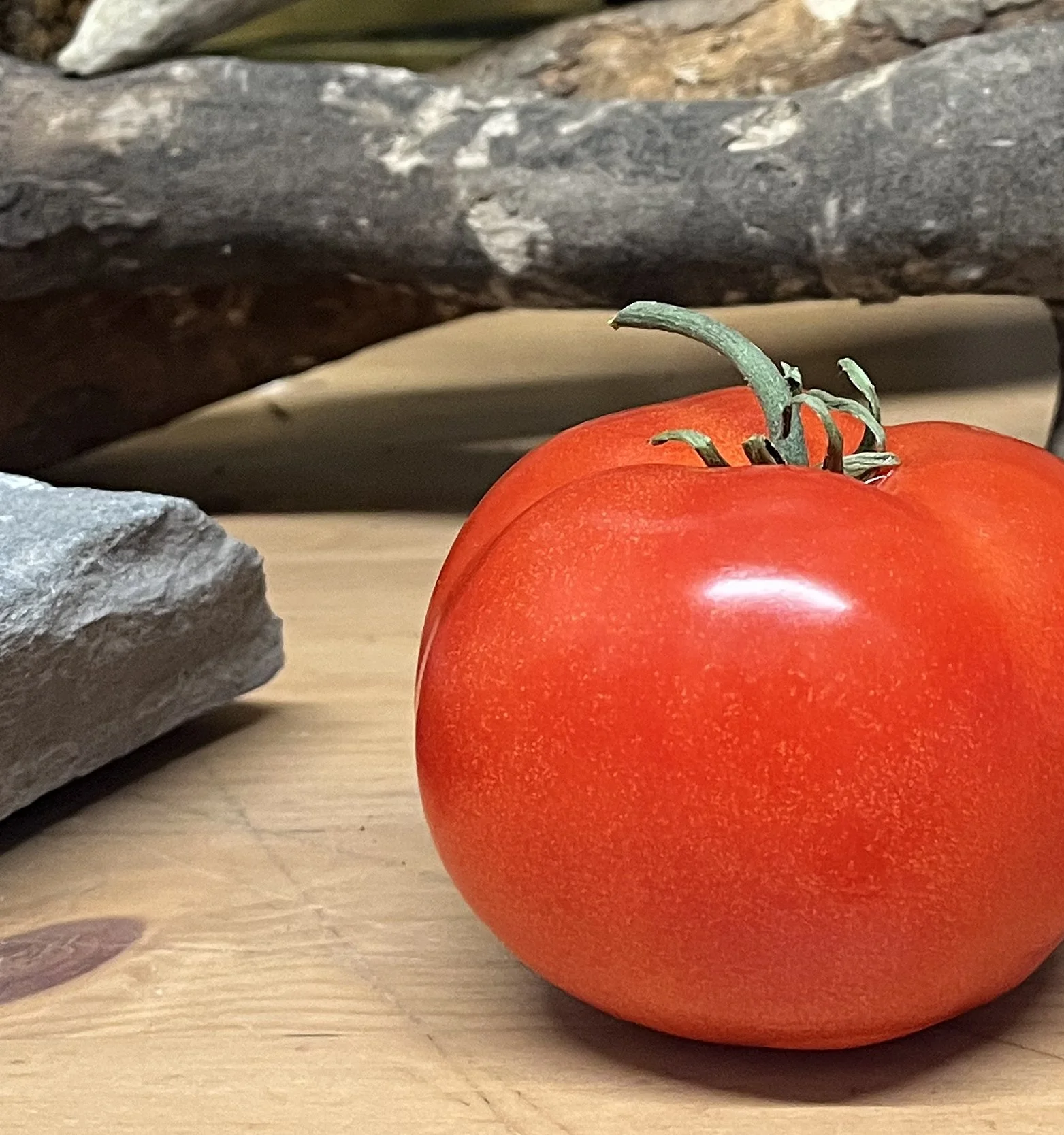 Tomato_v2.jpg