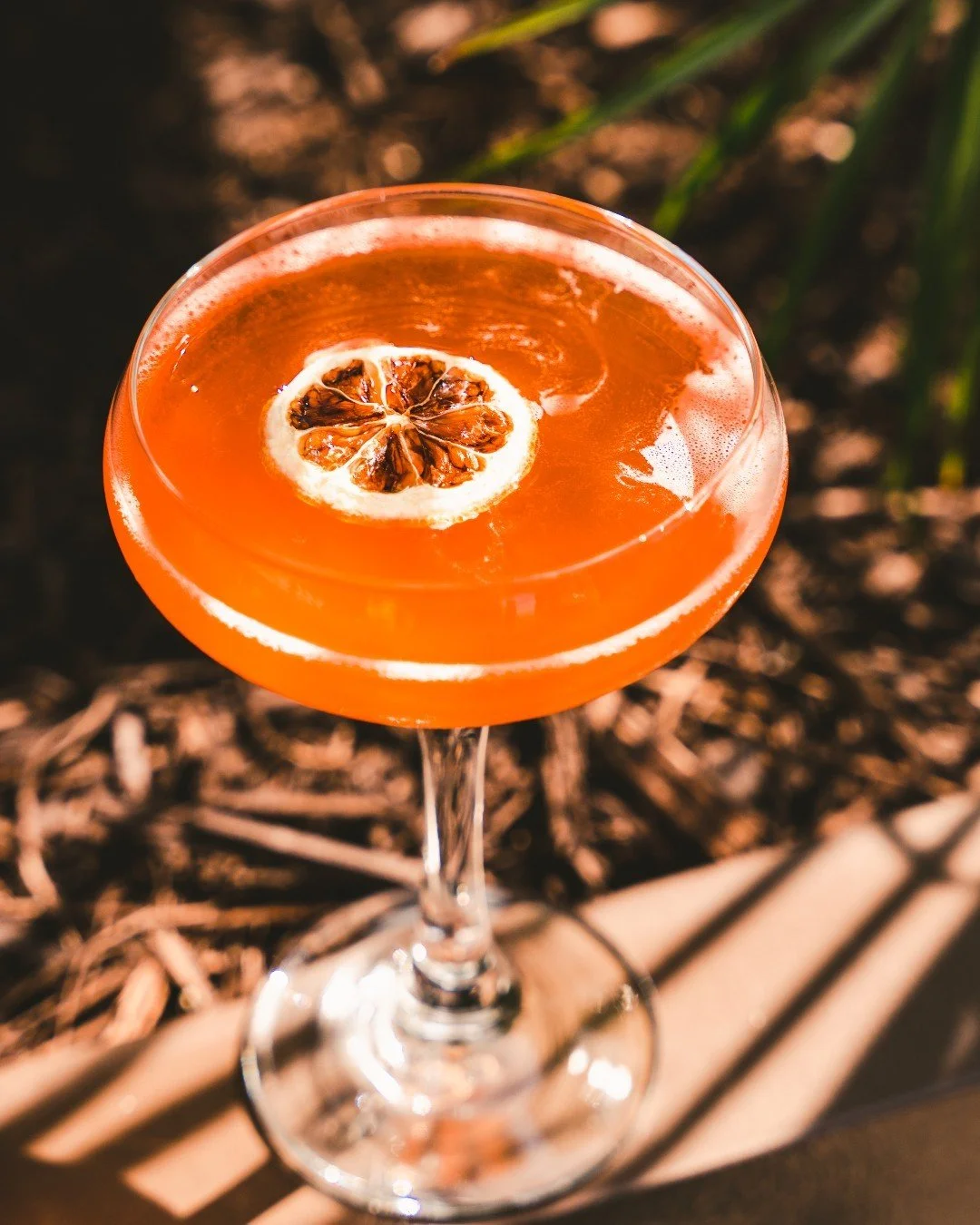 [image] - 581039.jpeg