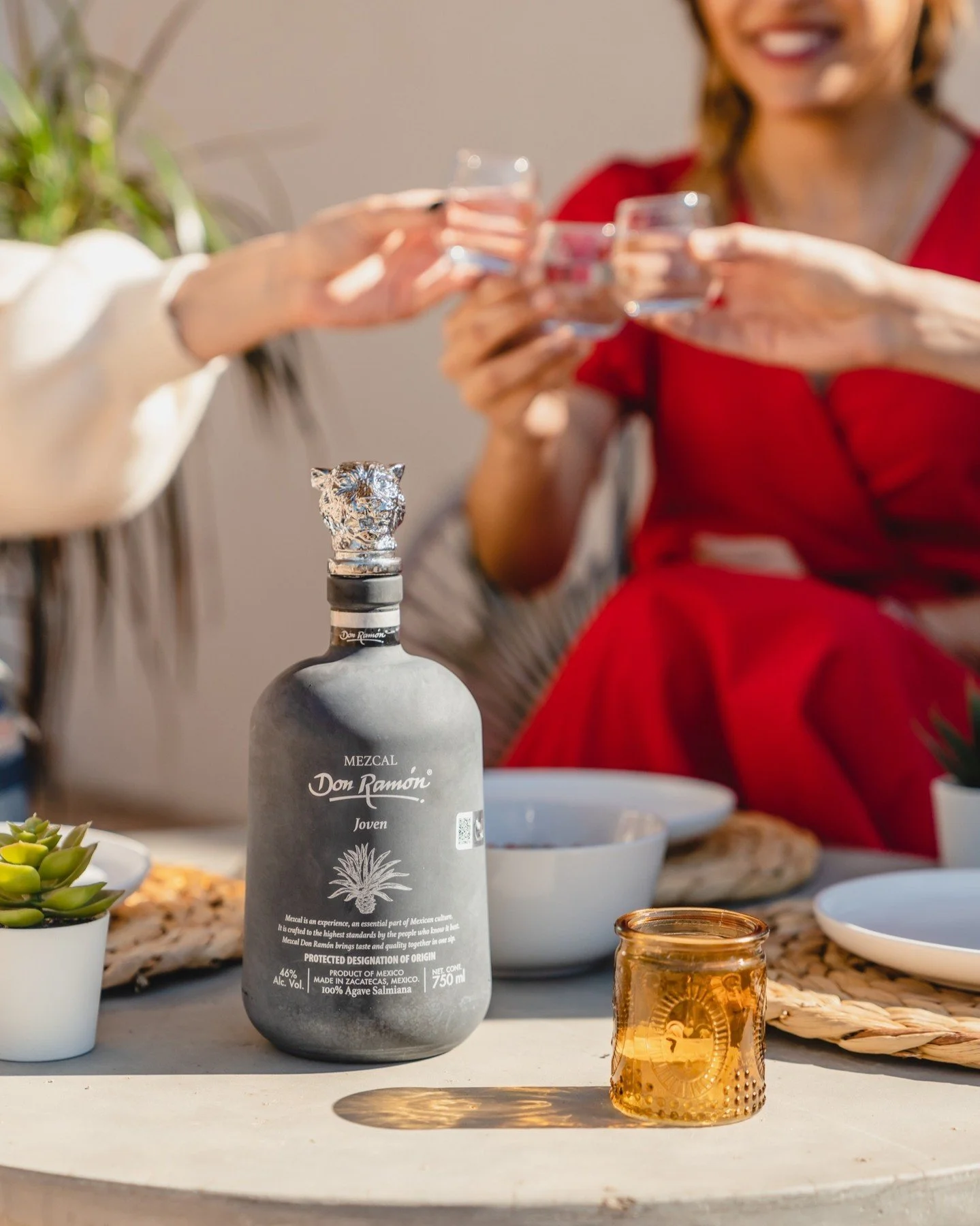 [image] - 9772371.jpeg