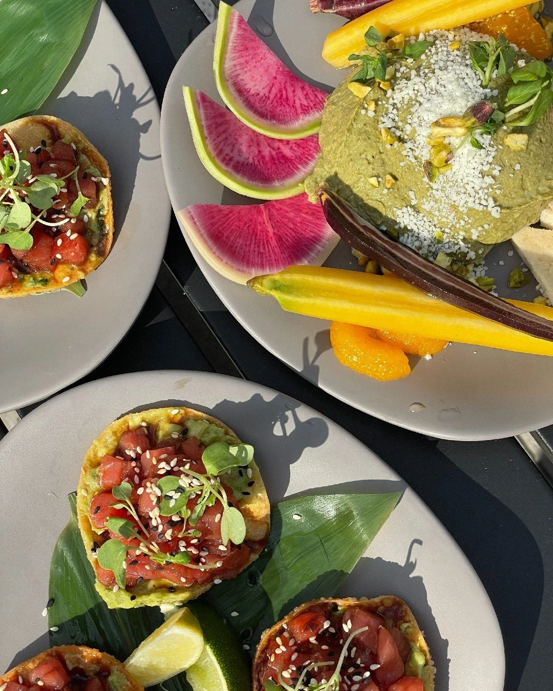 [image] - 4245049.jpeg