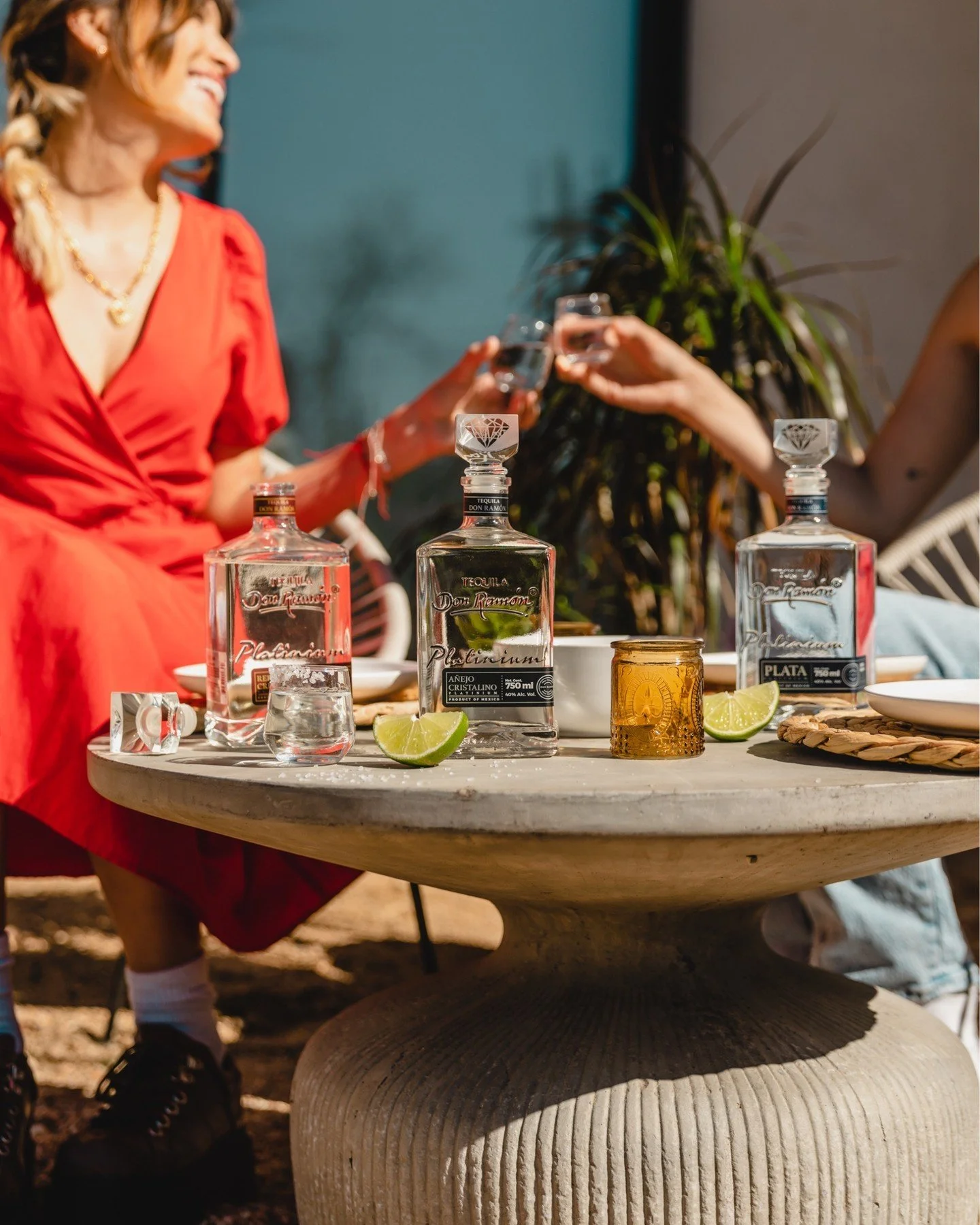 [image] - 8166000.jpeg