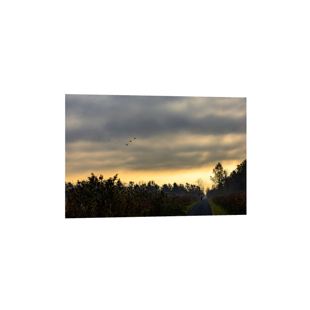 ptq_34_3_0_0_6000_4000_0_false_ffffff_0_0_.png