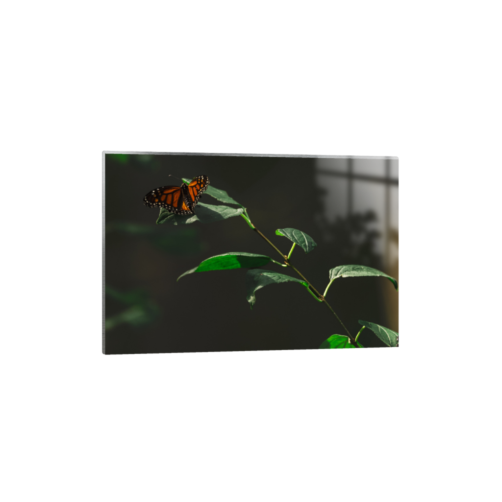 ptq_13_3_0_0_5014_3343_0_false_ffffff_0_0_.png