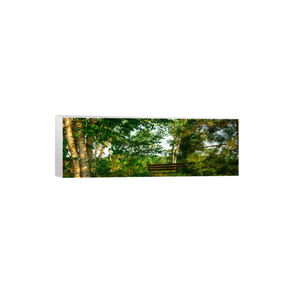 ptq_7_2_0_922_5532_1844_0_false_ffffff_0_0_.png