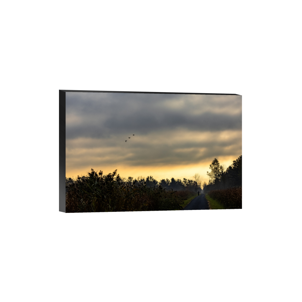 ptq_32_3_0_0_6000_4000_0_false_ffffff_0_0_.png