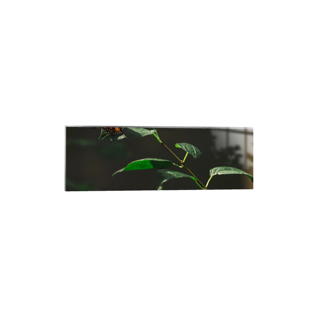 ptq_13_2_0_835_5015_1671_0_false_ffffff_0_0_.png