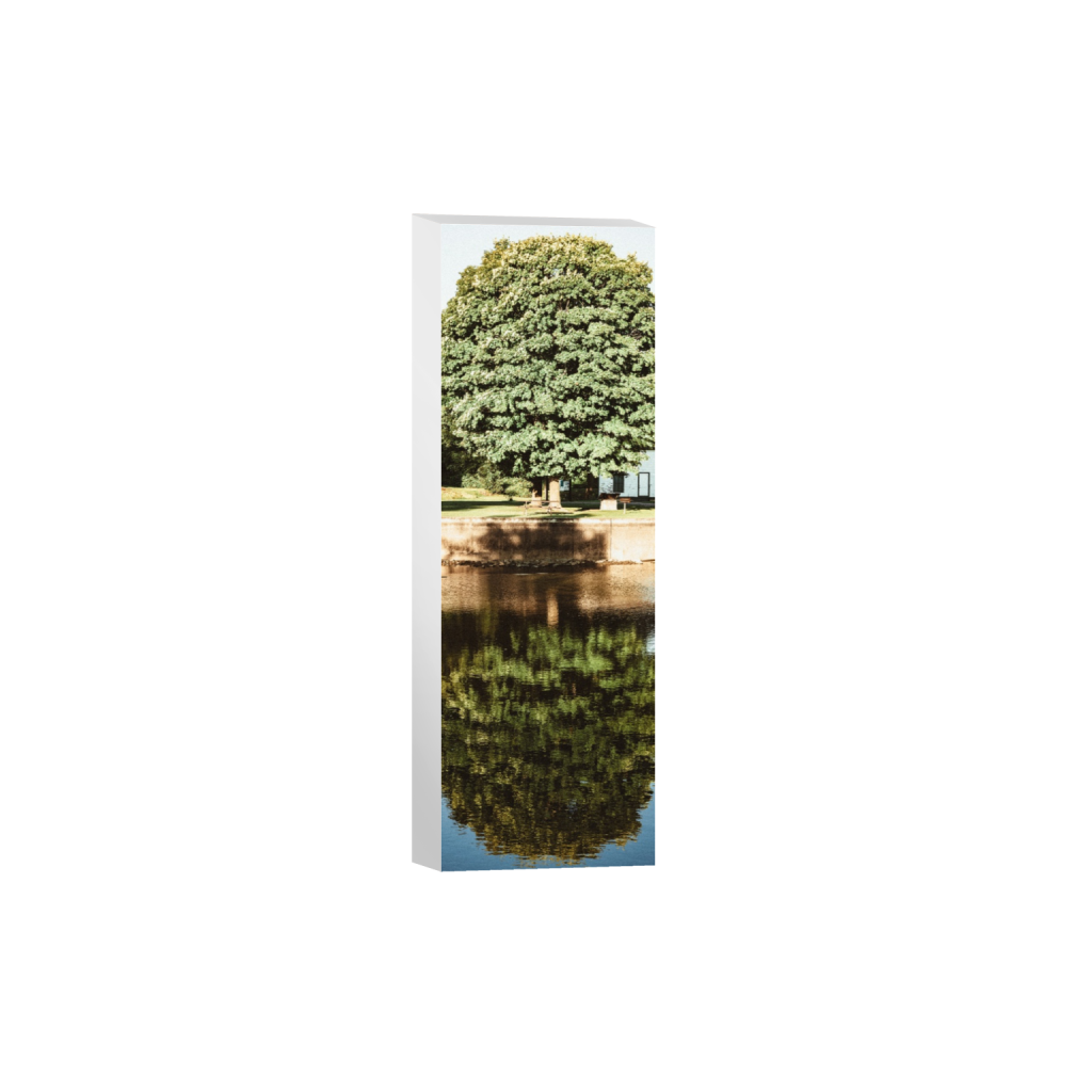 ptq_7_2_900_0_1800_5400_0_false_ffffff_0_0_.png