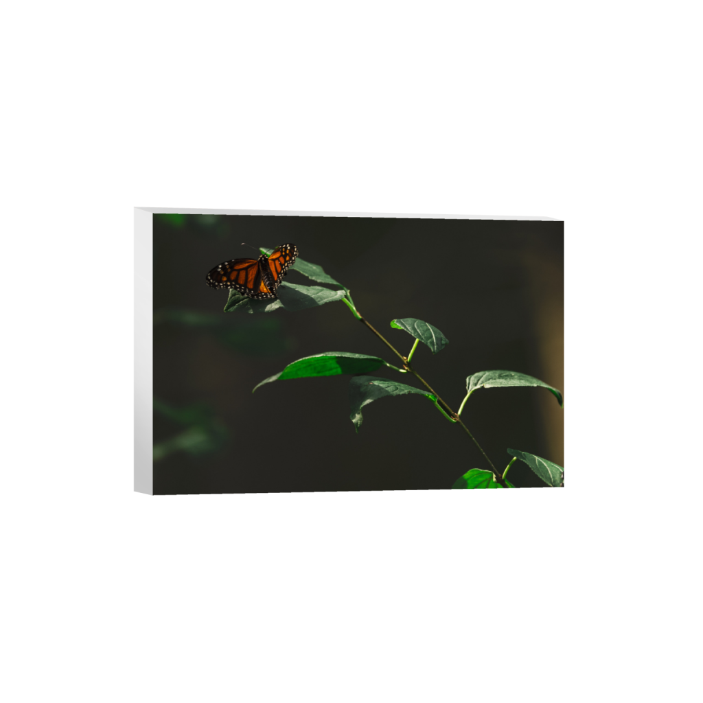 ptq_7_3_0_0_5014_3343_0_false_ffffff_0_0_.png