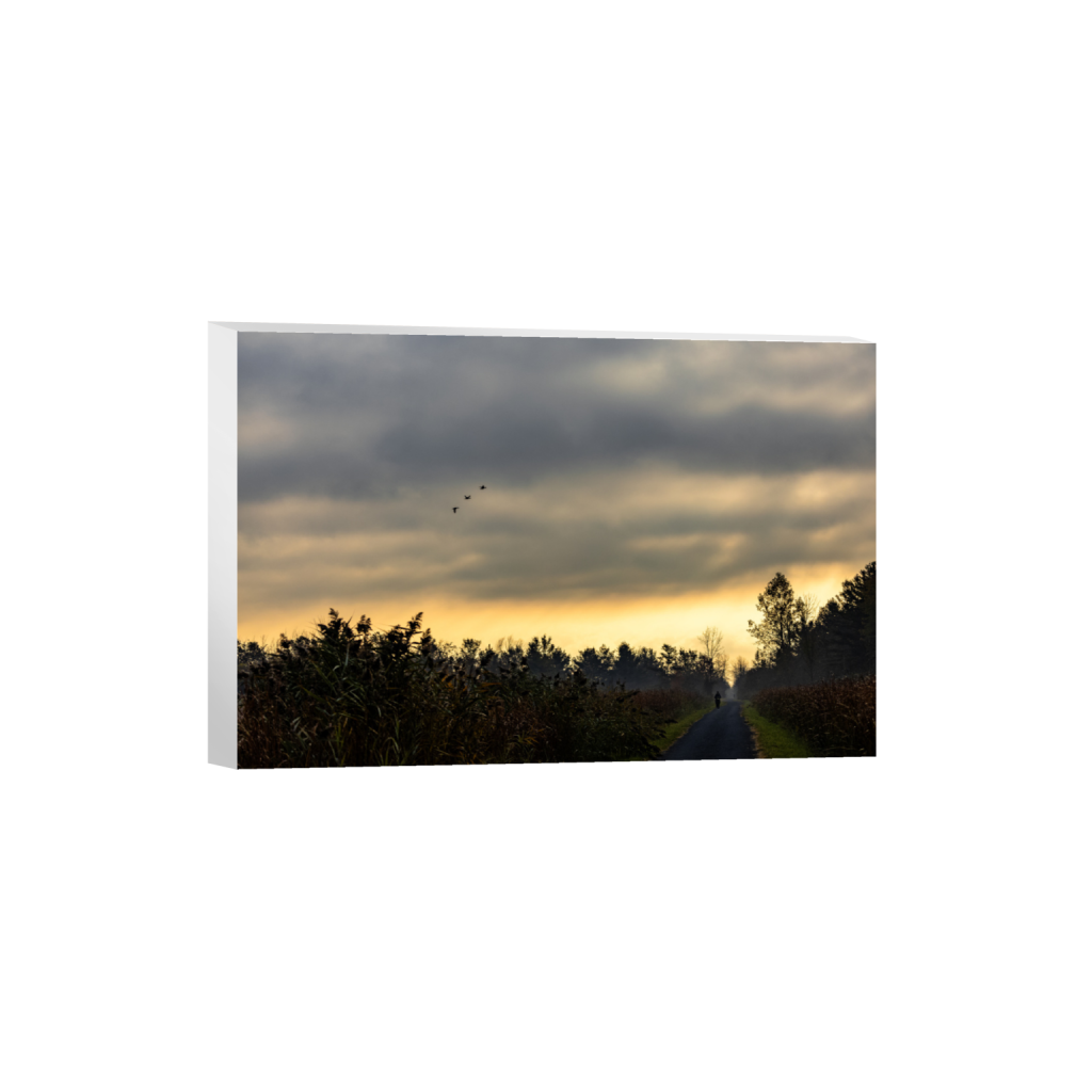 ptq_7_3_0_0_6000_4000_0_false_ffffff_0_0_.png