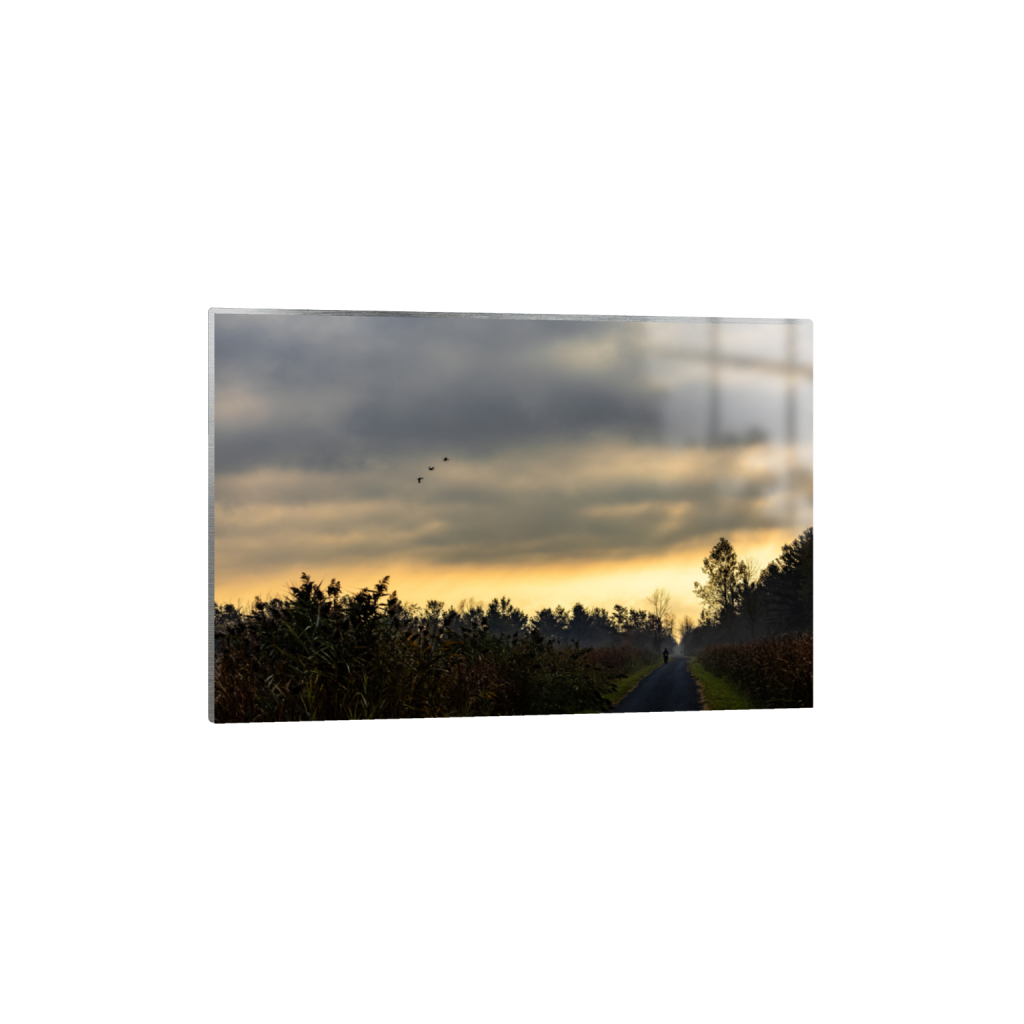 ptq_13_3_0_0_6000_4000_0_false_ffffff_0_0_.png
