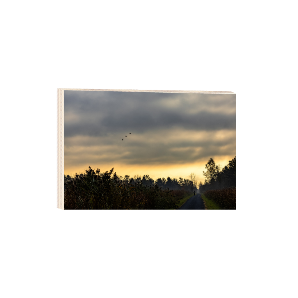 ptq_29_3_0_0_6000_4000_0_false_ffffff_0_0_.png
