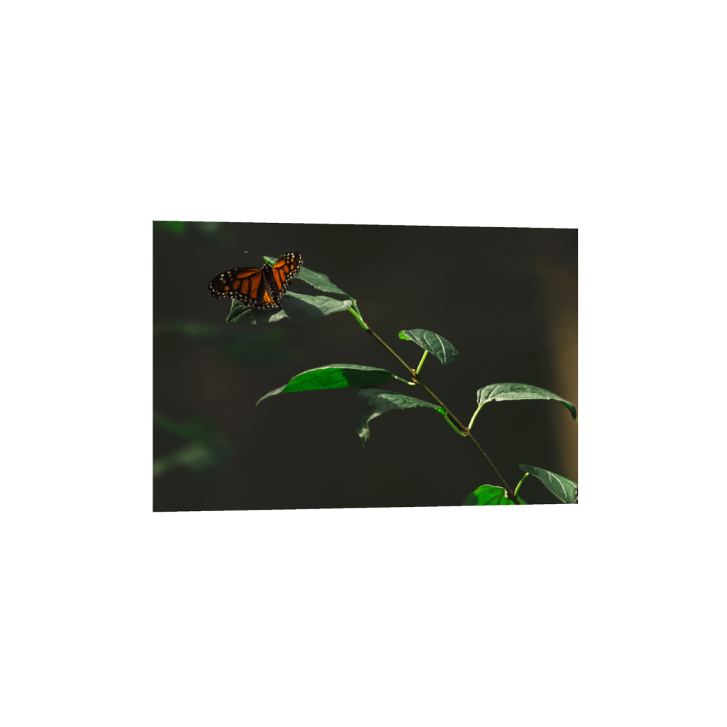 ptq_34_3_0_0_5014_3343_0_false_ffffff_0_0_.png